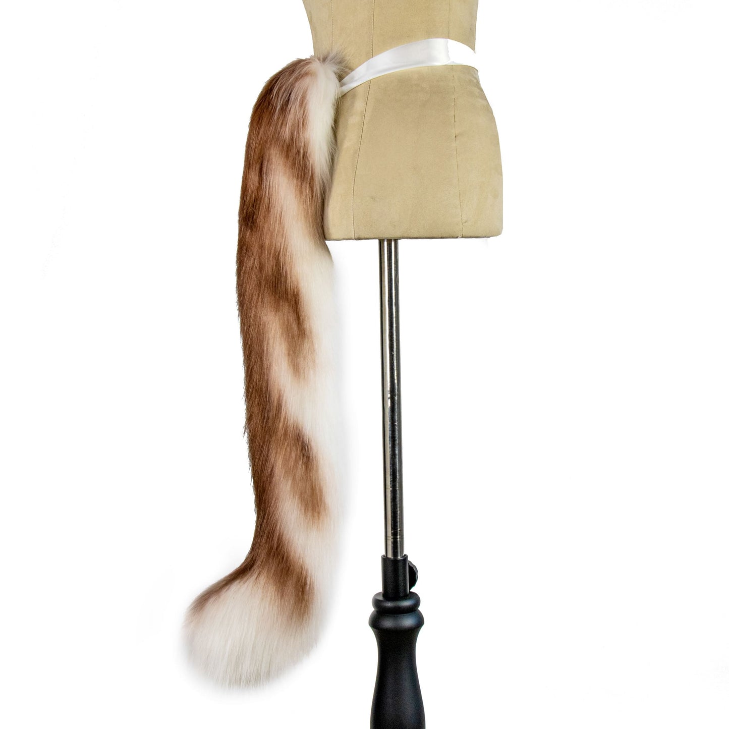 Ragdoll Kitten Ears and Tail Set