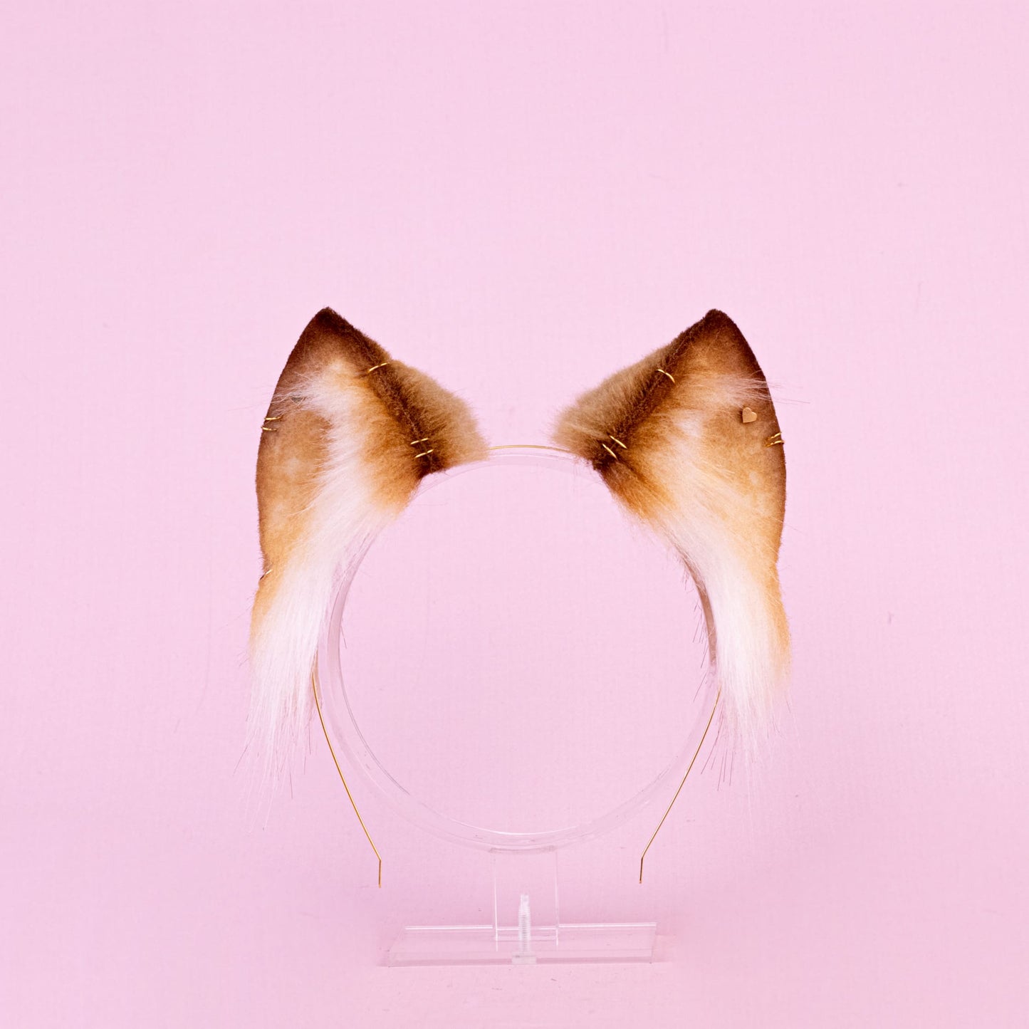 Golden Kitten Ears and Tail Set
