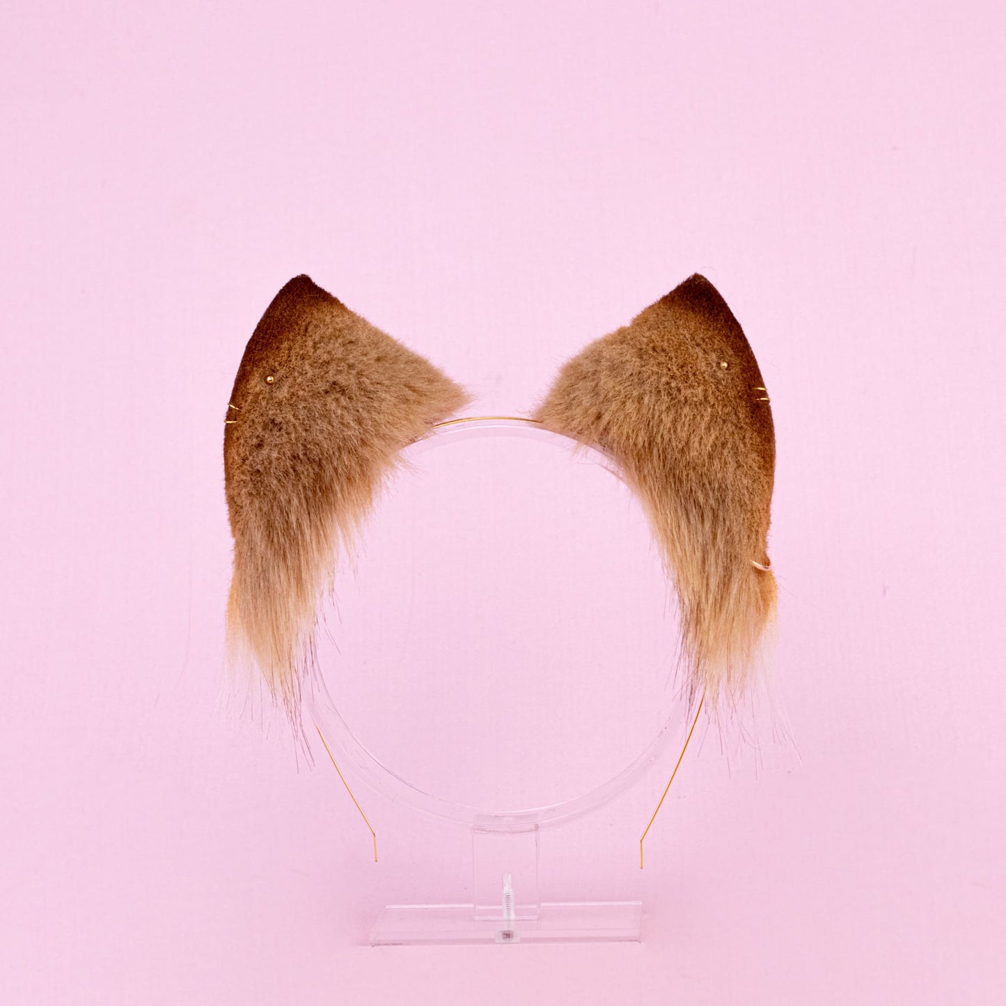 Golden Kitten Ears and Tail Set