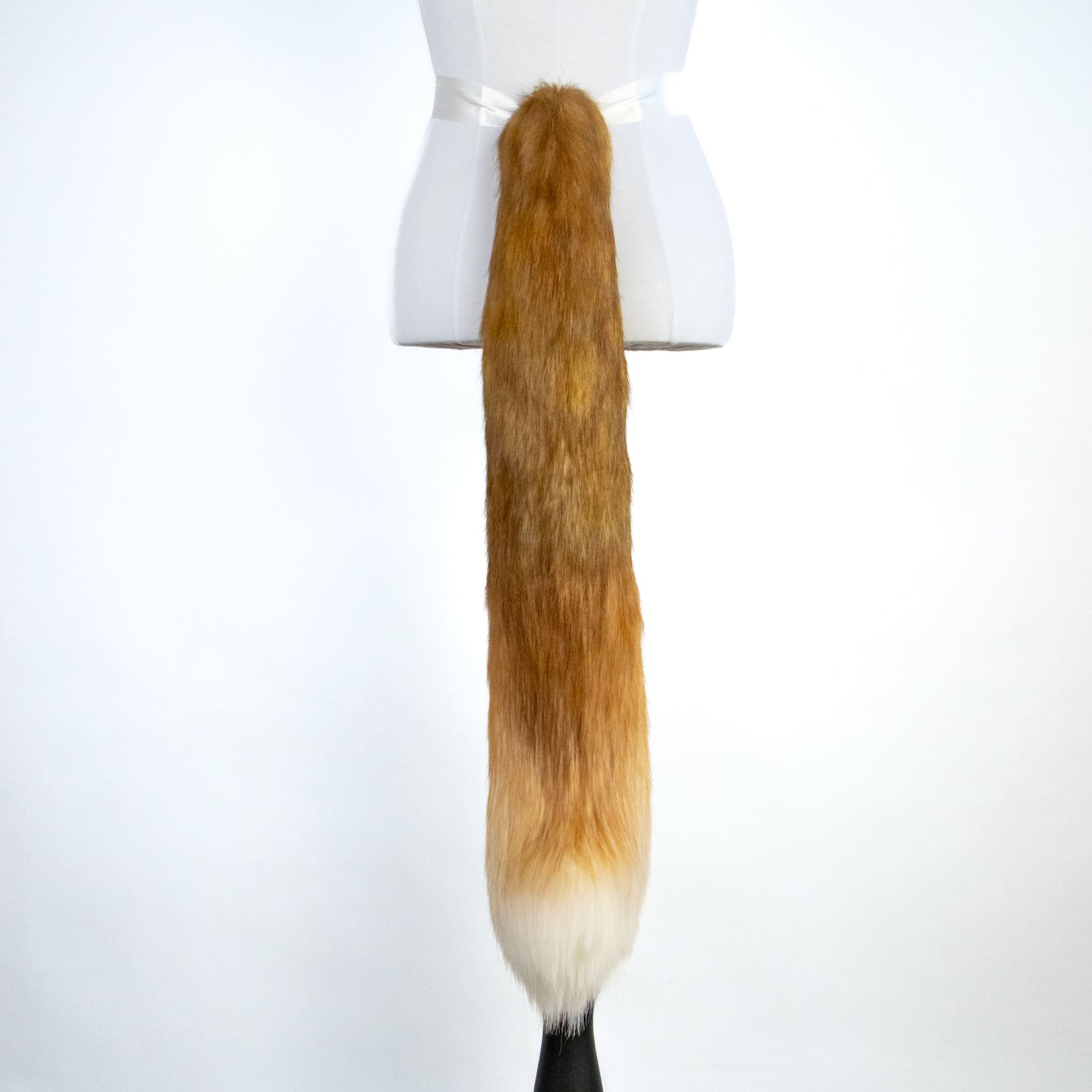 Golden Kitten Ears and Tail Set