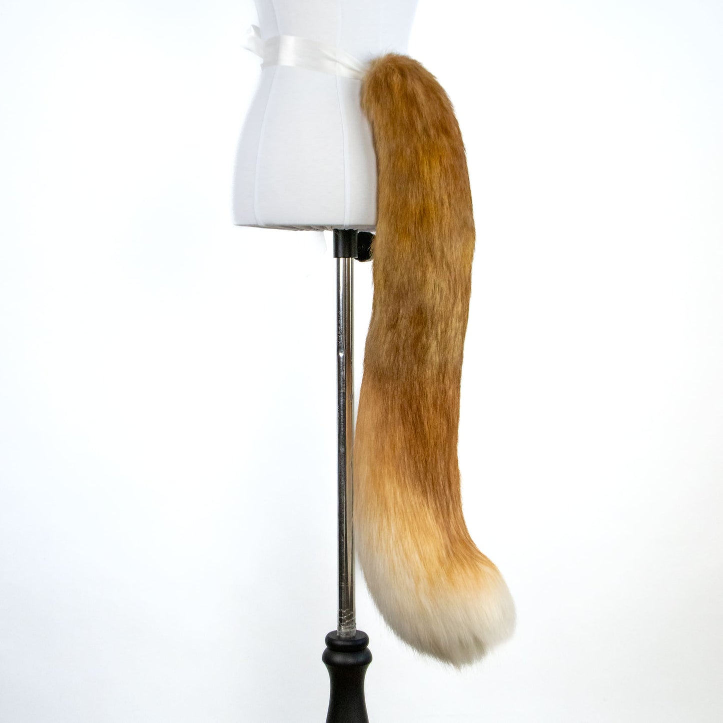 Golden Kitten Ears and Tail Set
