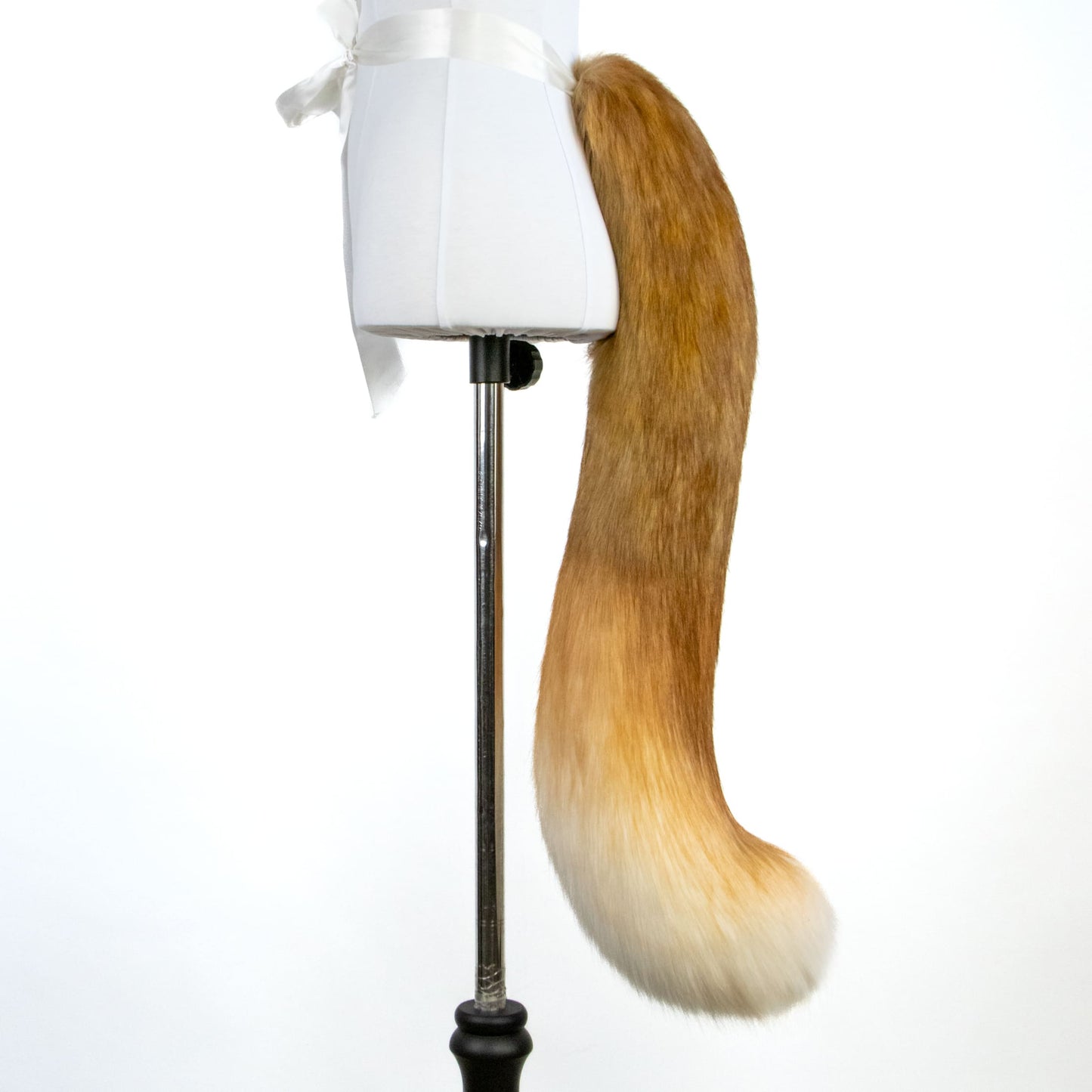 Golden Kitten Ears and Tail Set