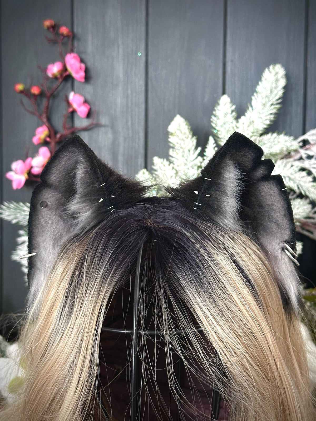 Black kitten