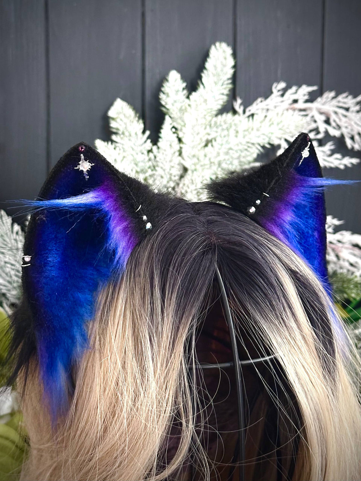 Galaxy kitten