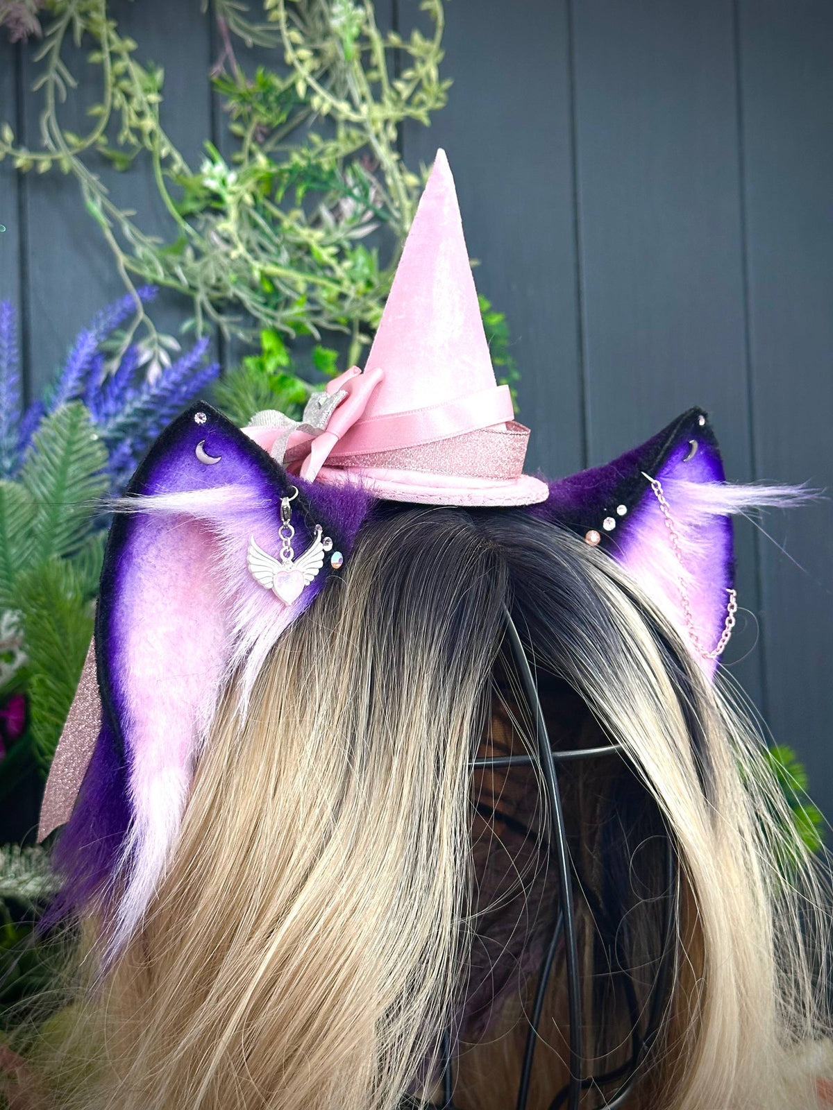 Witch kitten
