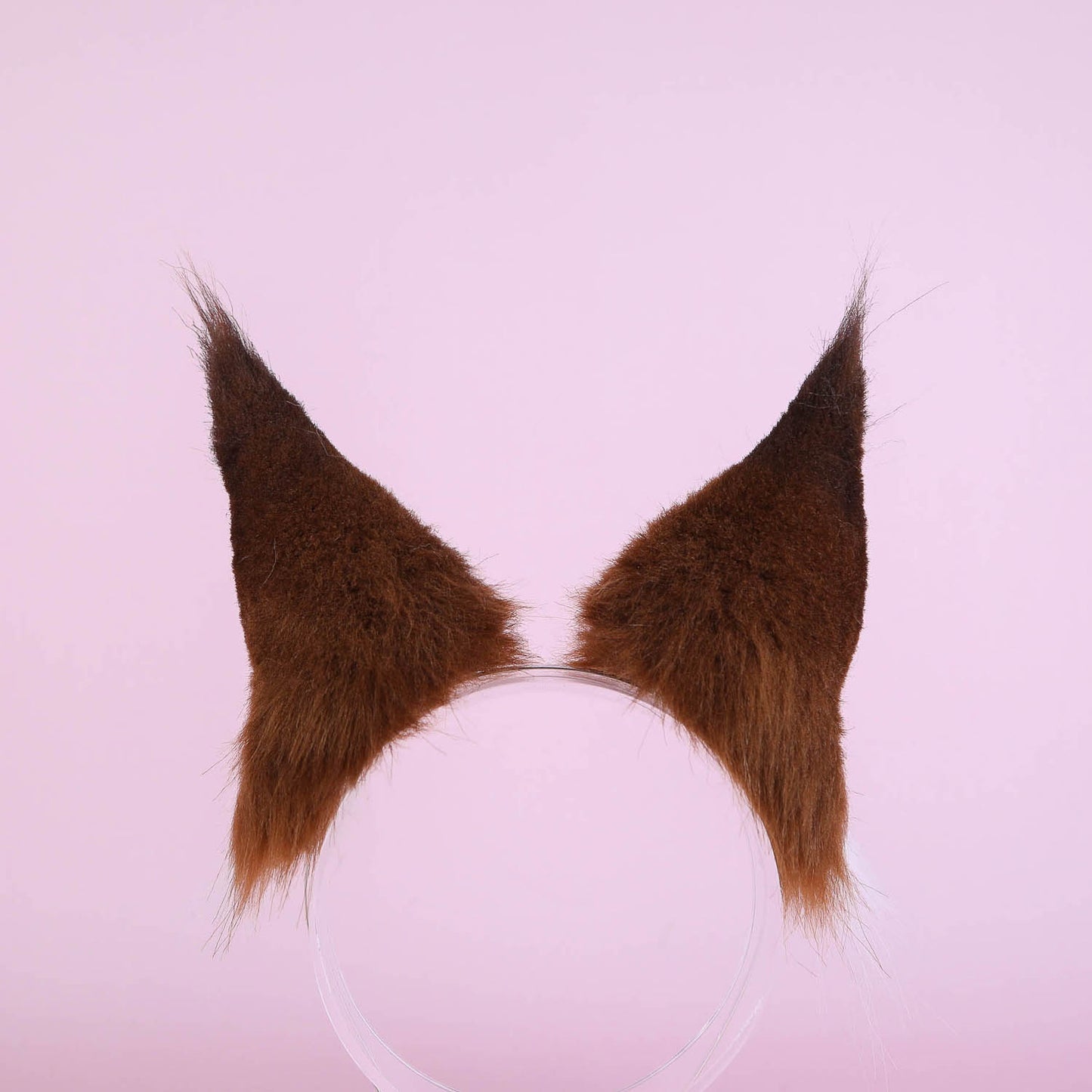 Brown Caracal Ears