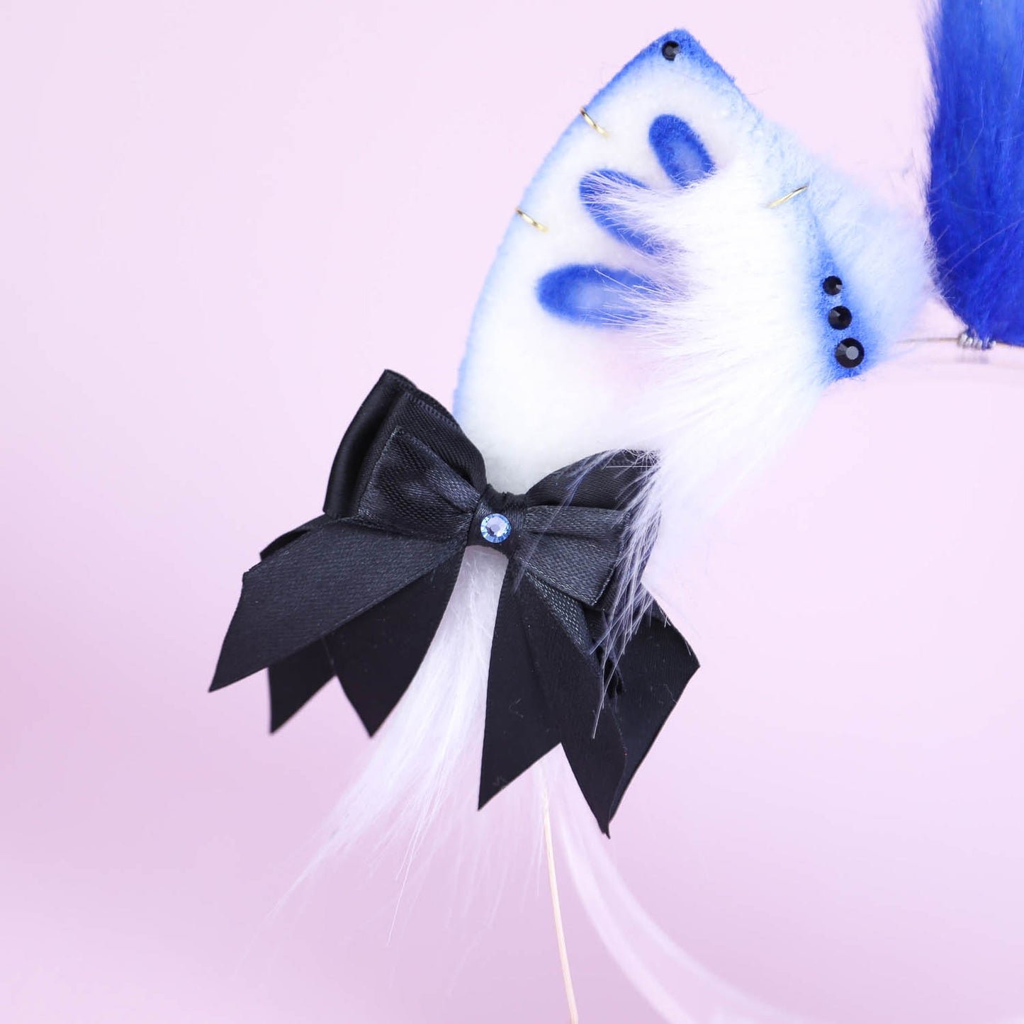 Blue Shrimp Kitten Ears