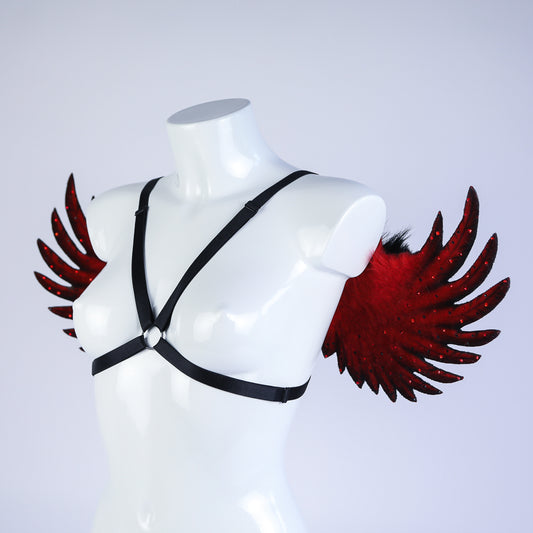 The Fallen Angel Wings