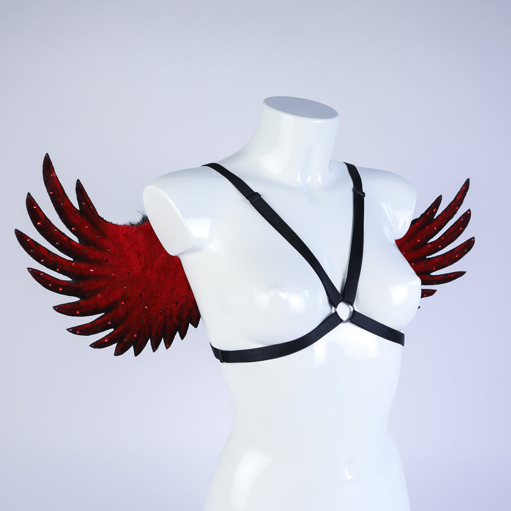 The Fallen Angel Wings