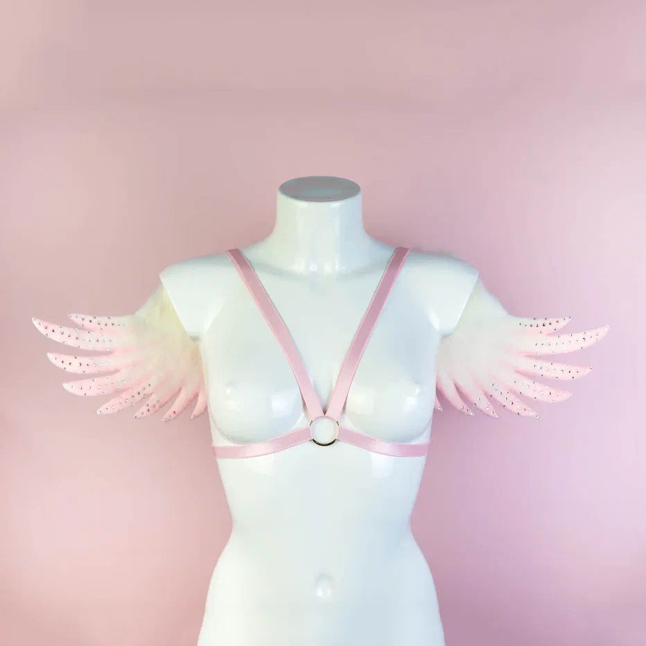 The Pink Angel Wings