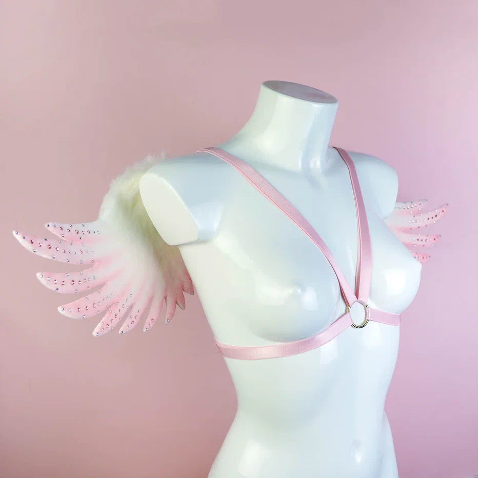 The Pink Angel Wings