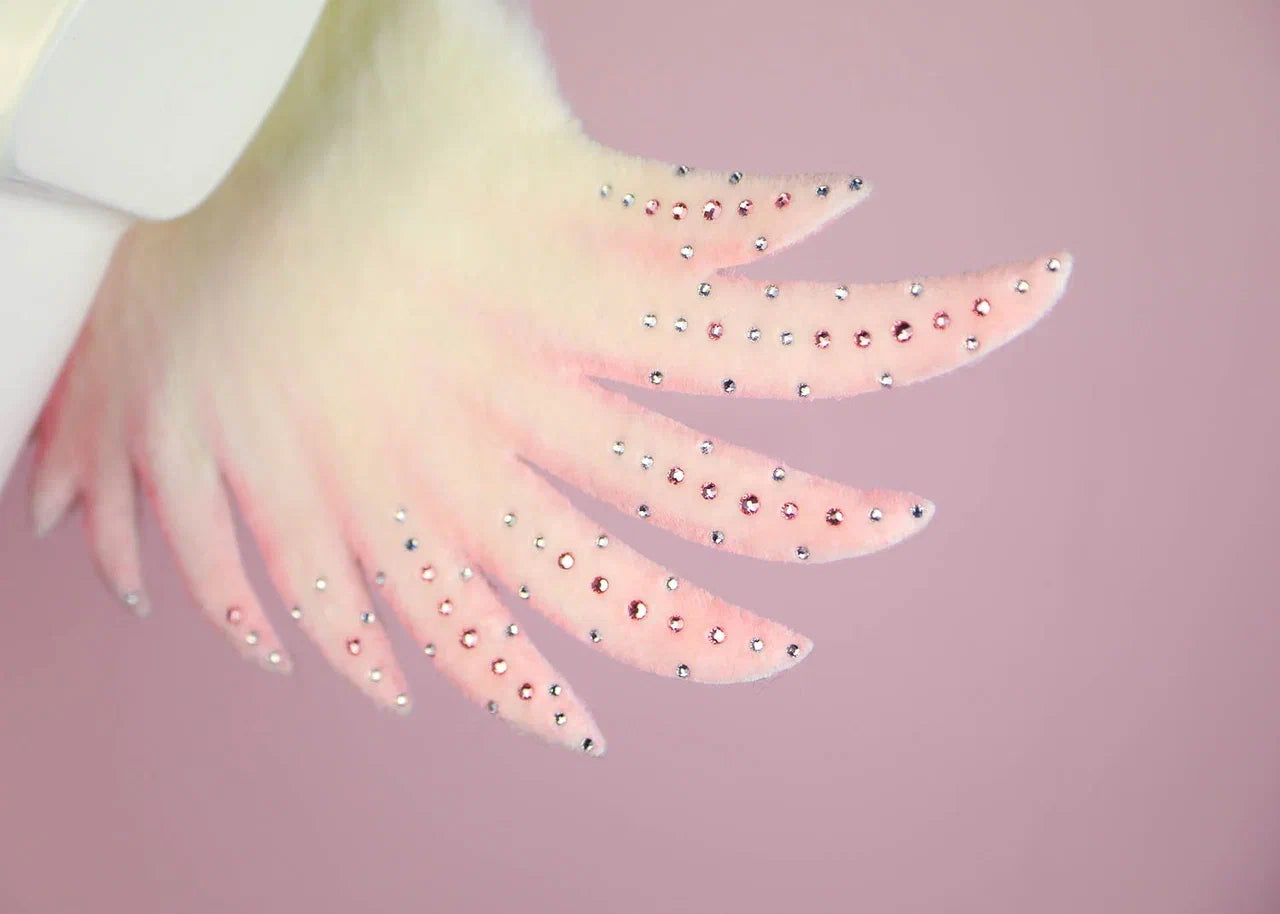 The Pink Angel Wings