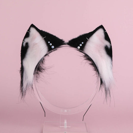 Orca Kitten Ears