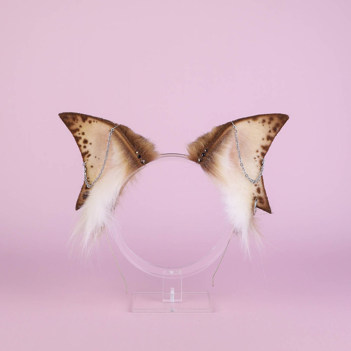 Golden Tiger Shark Ears and Tail Set