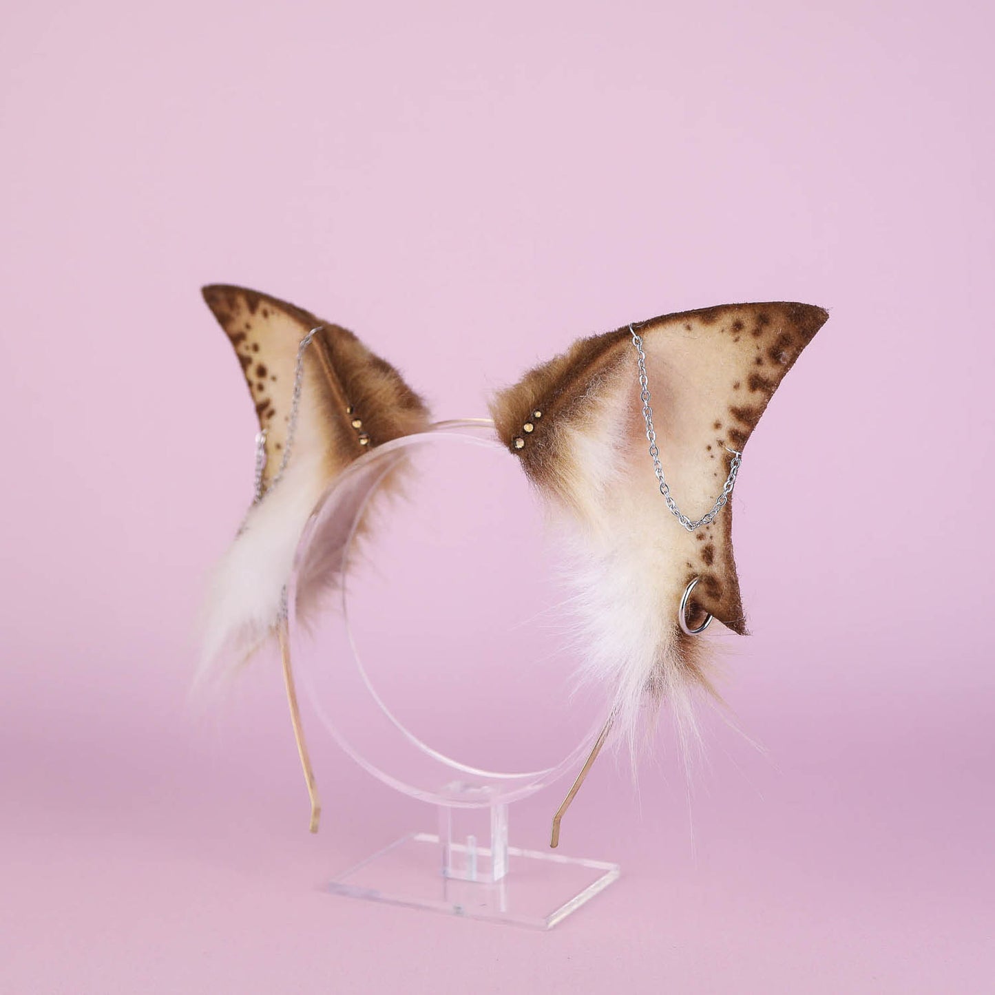 Golden Tiger Shark Ears and Tail Set