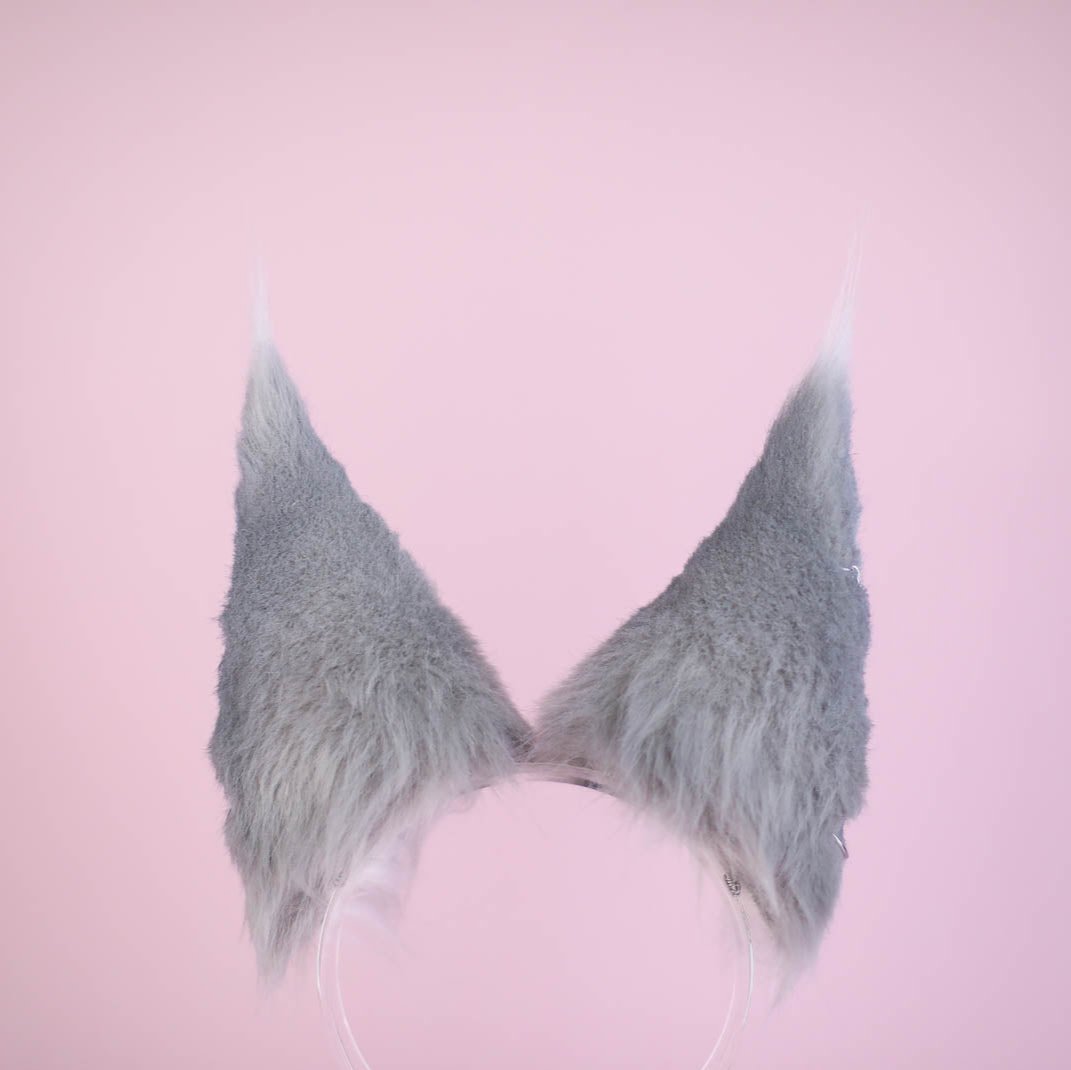The Wolf Ears