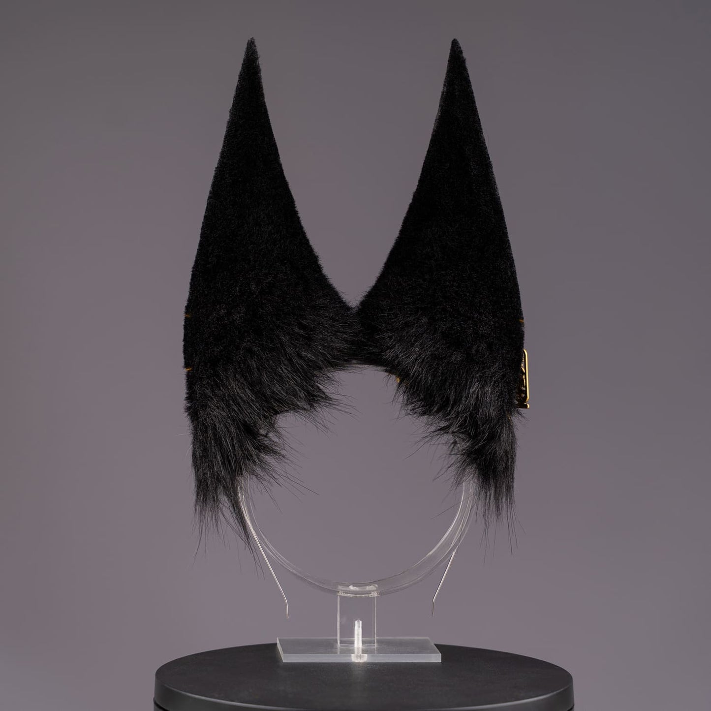 Golden Anubis Ears