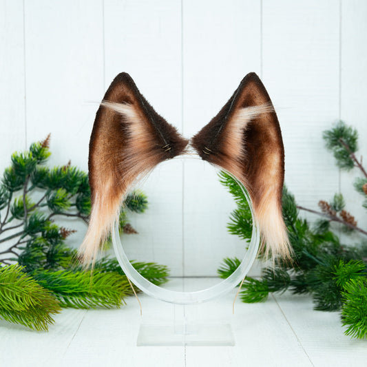 Brown Fox Ears