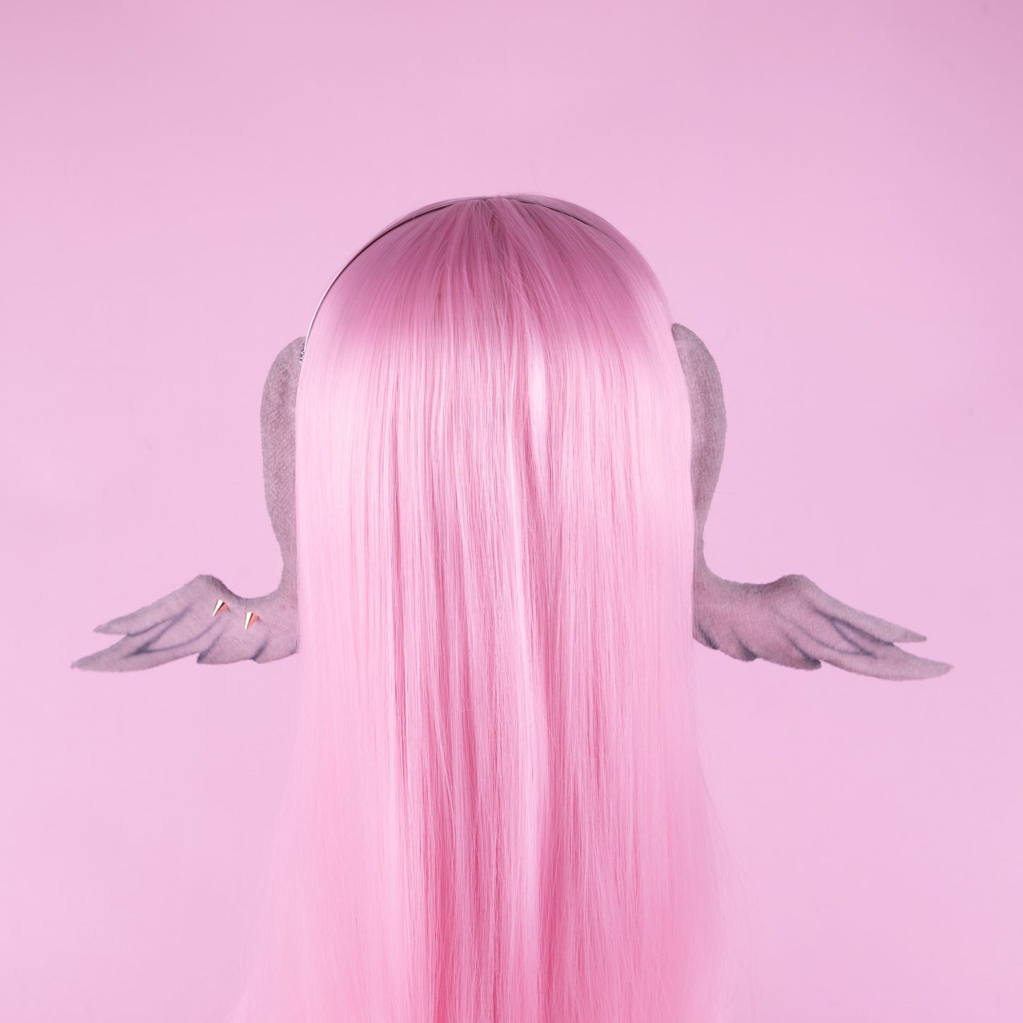 Sunday Wings (without halo)