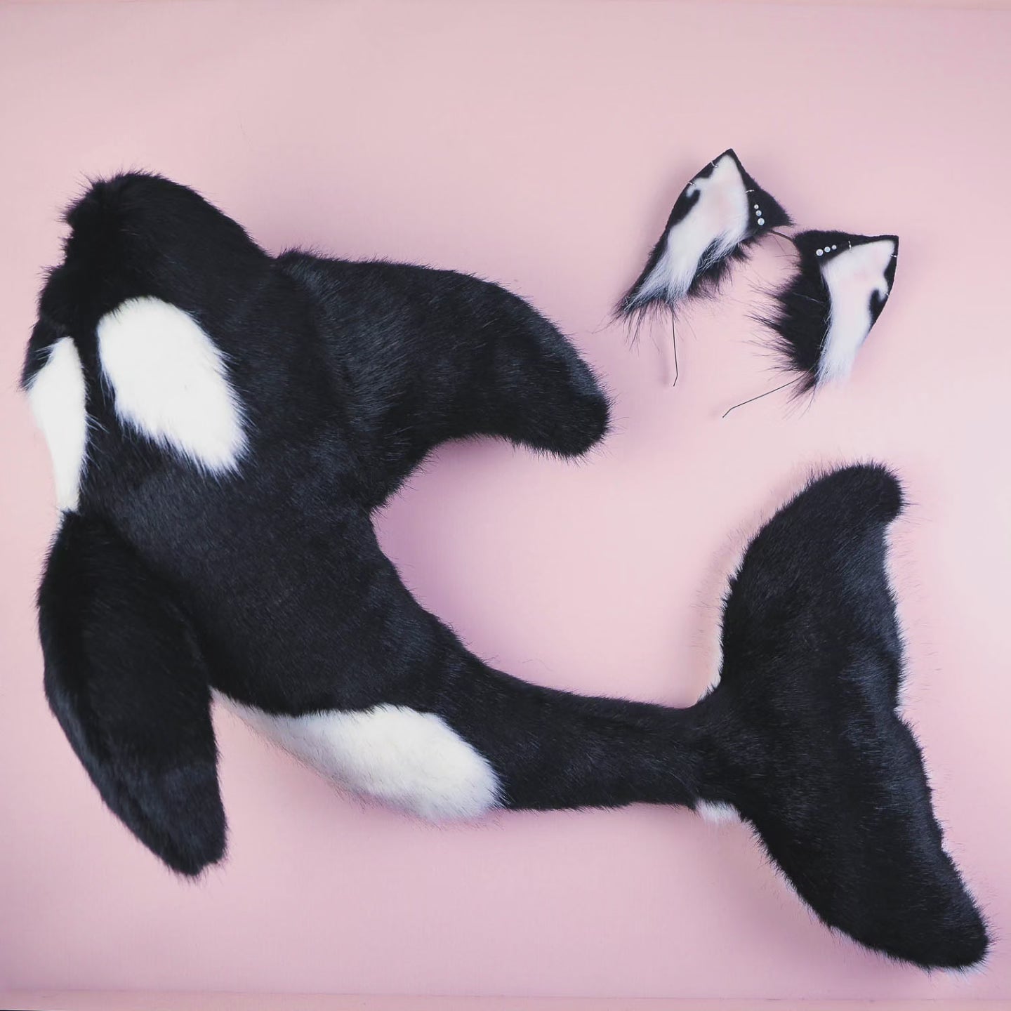 Orca Kitten Ears and Tail Set