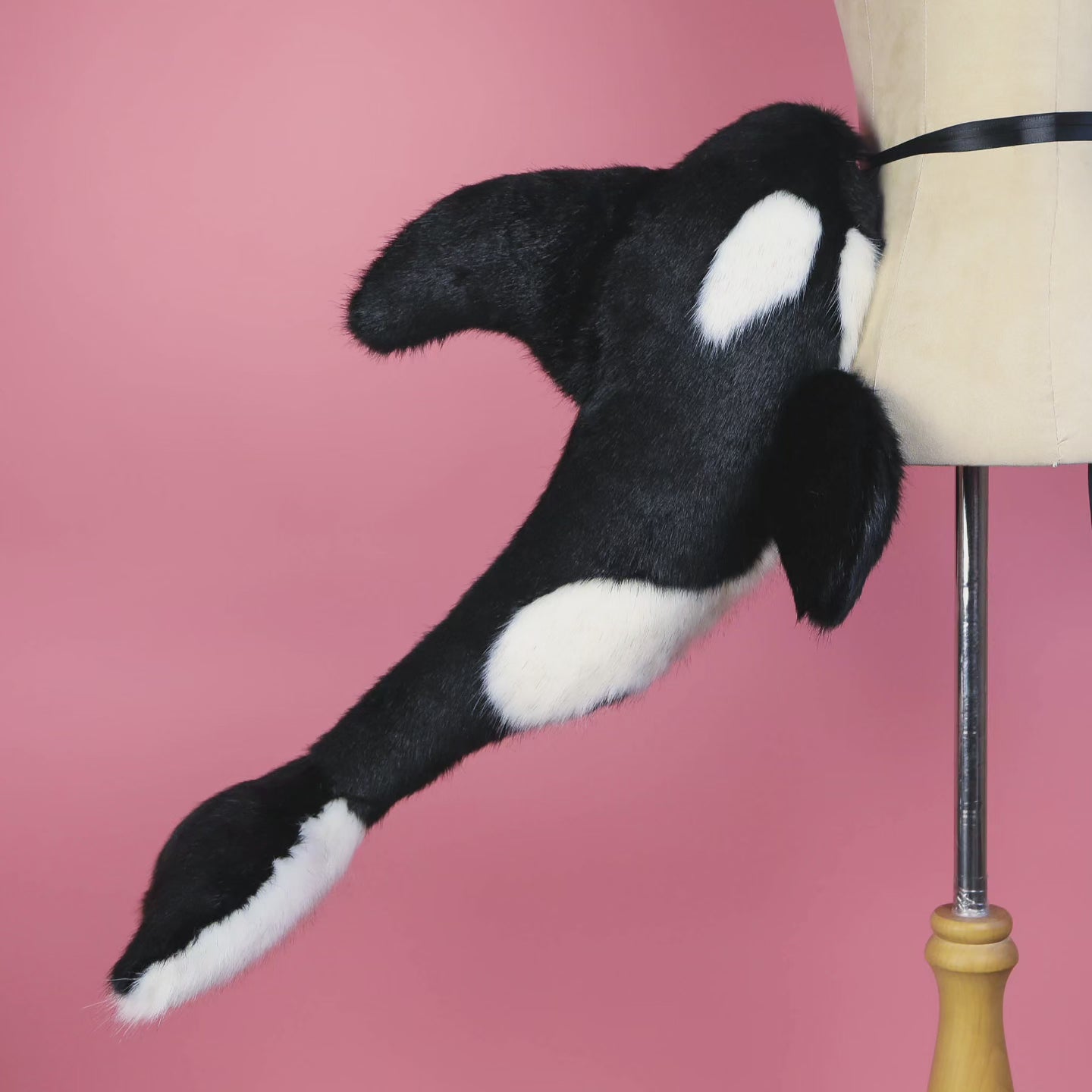 Orca Kitten Ears and Tail Set