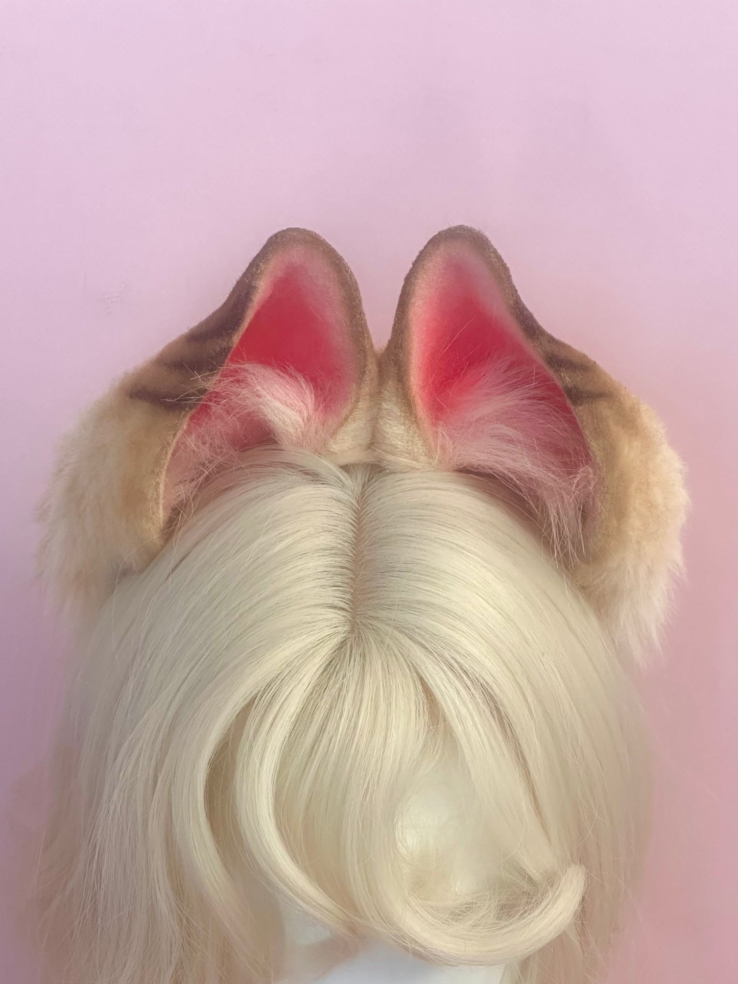 Alice Ears and Tail Set (ZZZ)