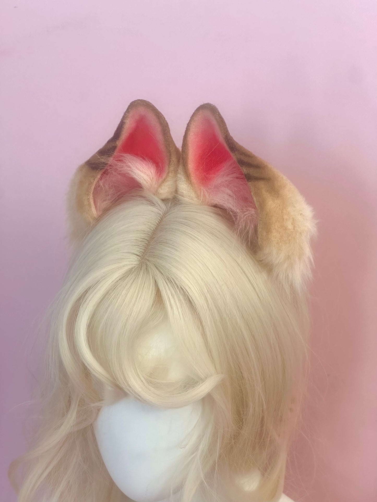 Alice Ears and Tail Set (ZZZ)