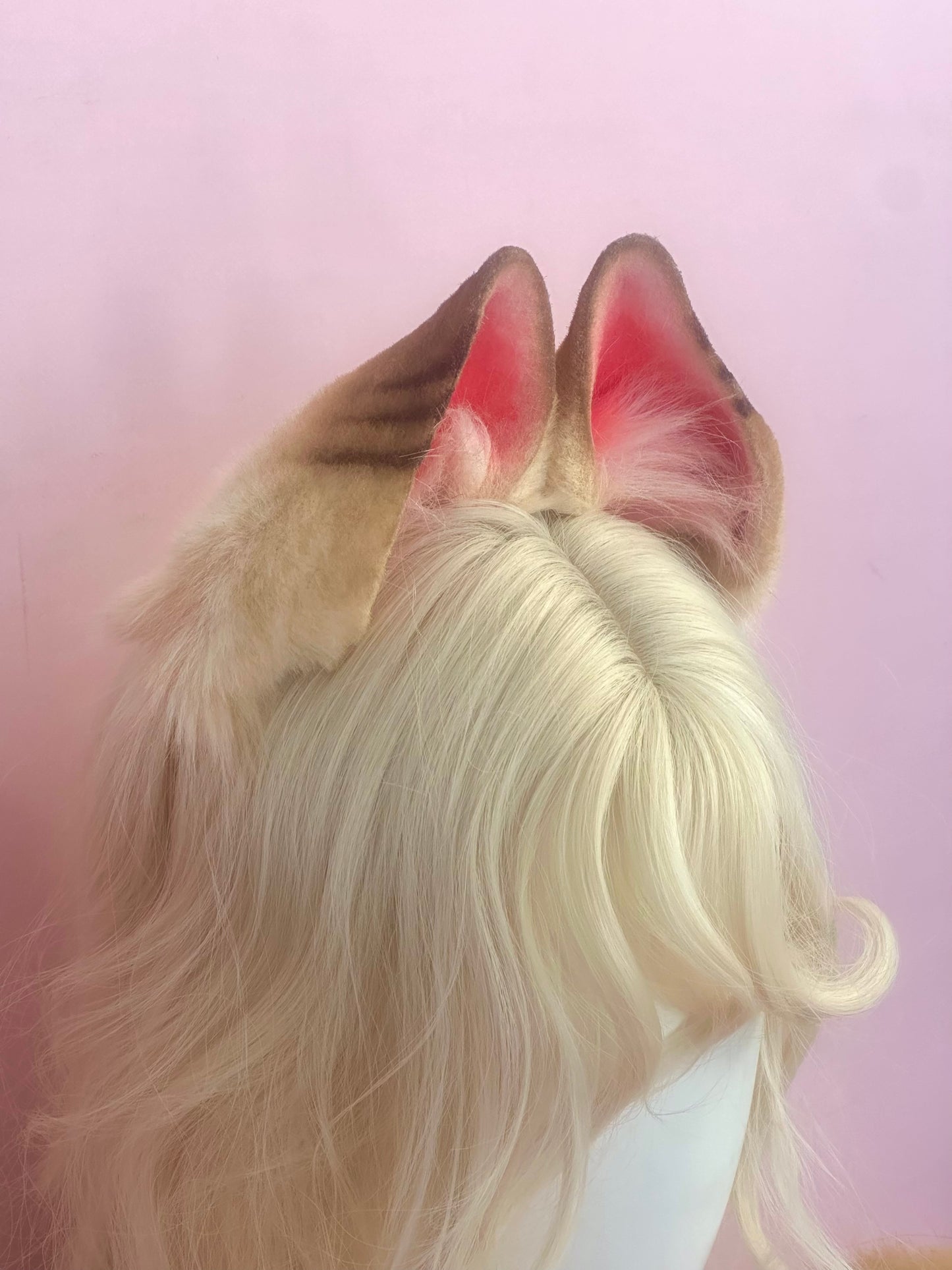Alice Ears and Tail Set (ZZZ)