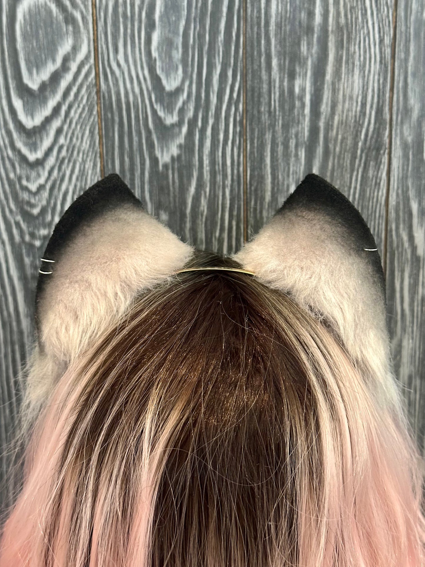 Grey Kitten Ears RFS