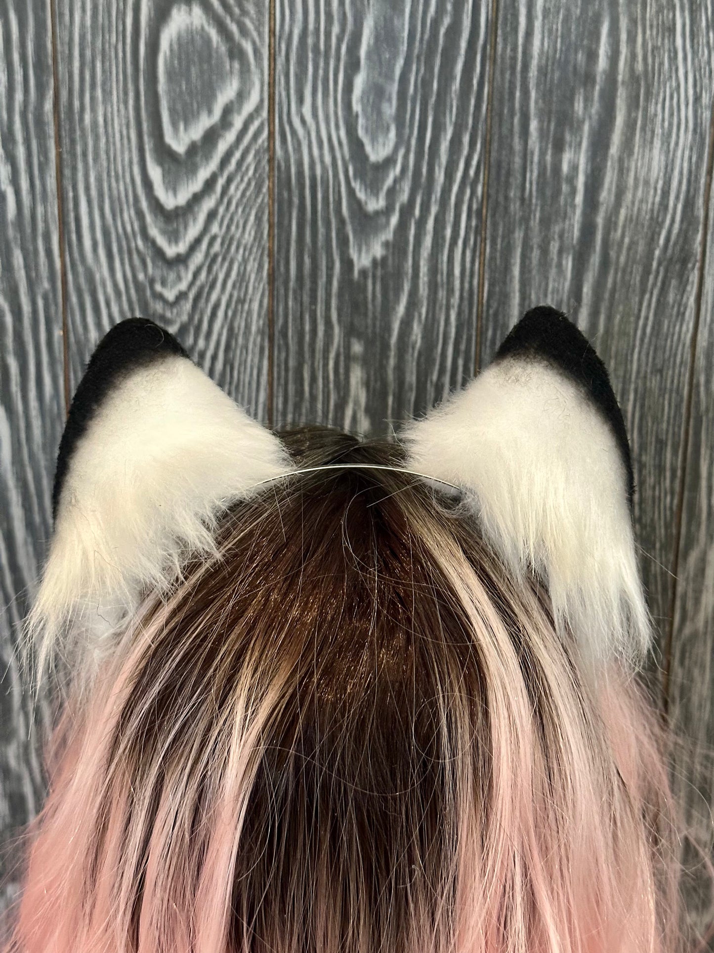 Black Tip Fox Ears RFS