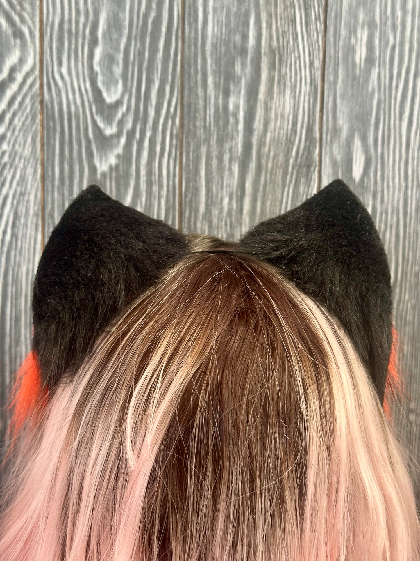 Pumpkin Kitten Ears RFS