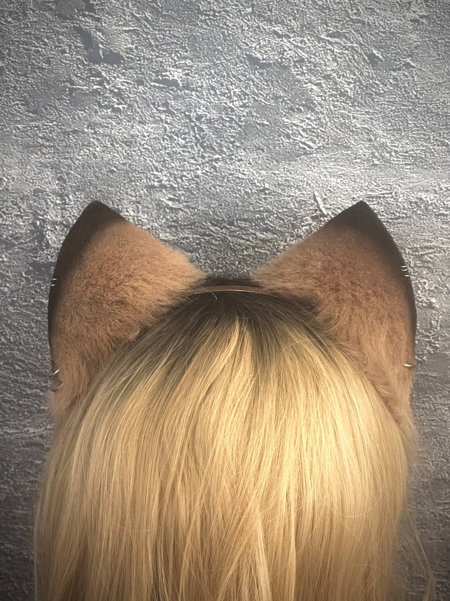 Caramel Kitten RFS