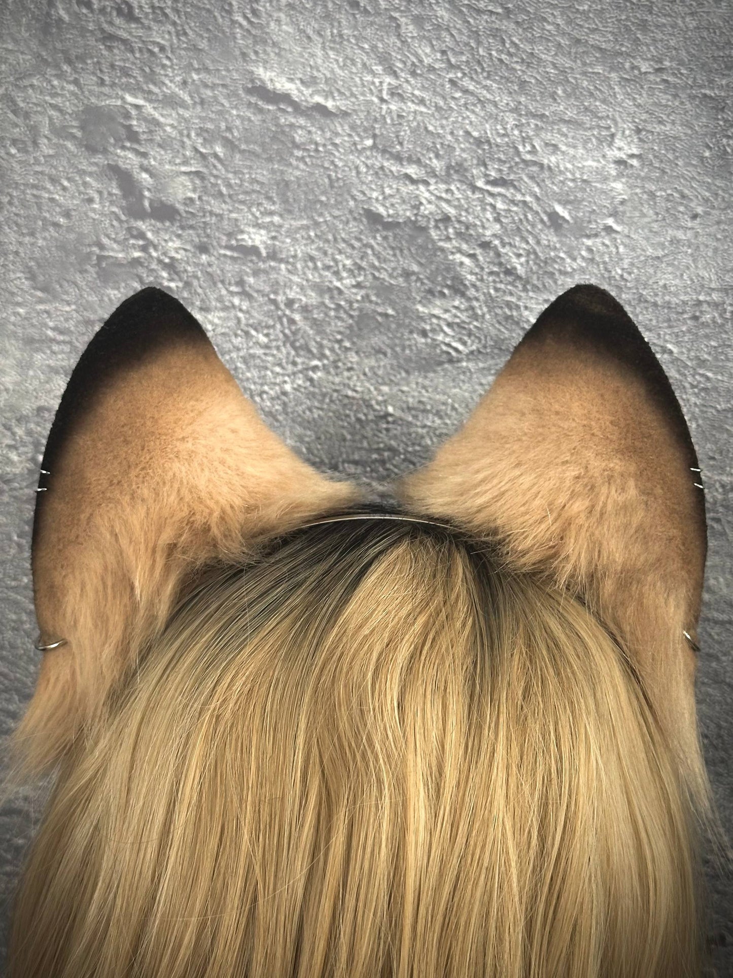 Caramel Fox Ears RFS