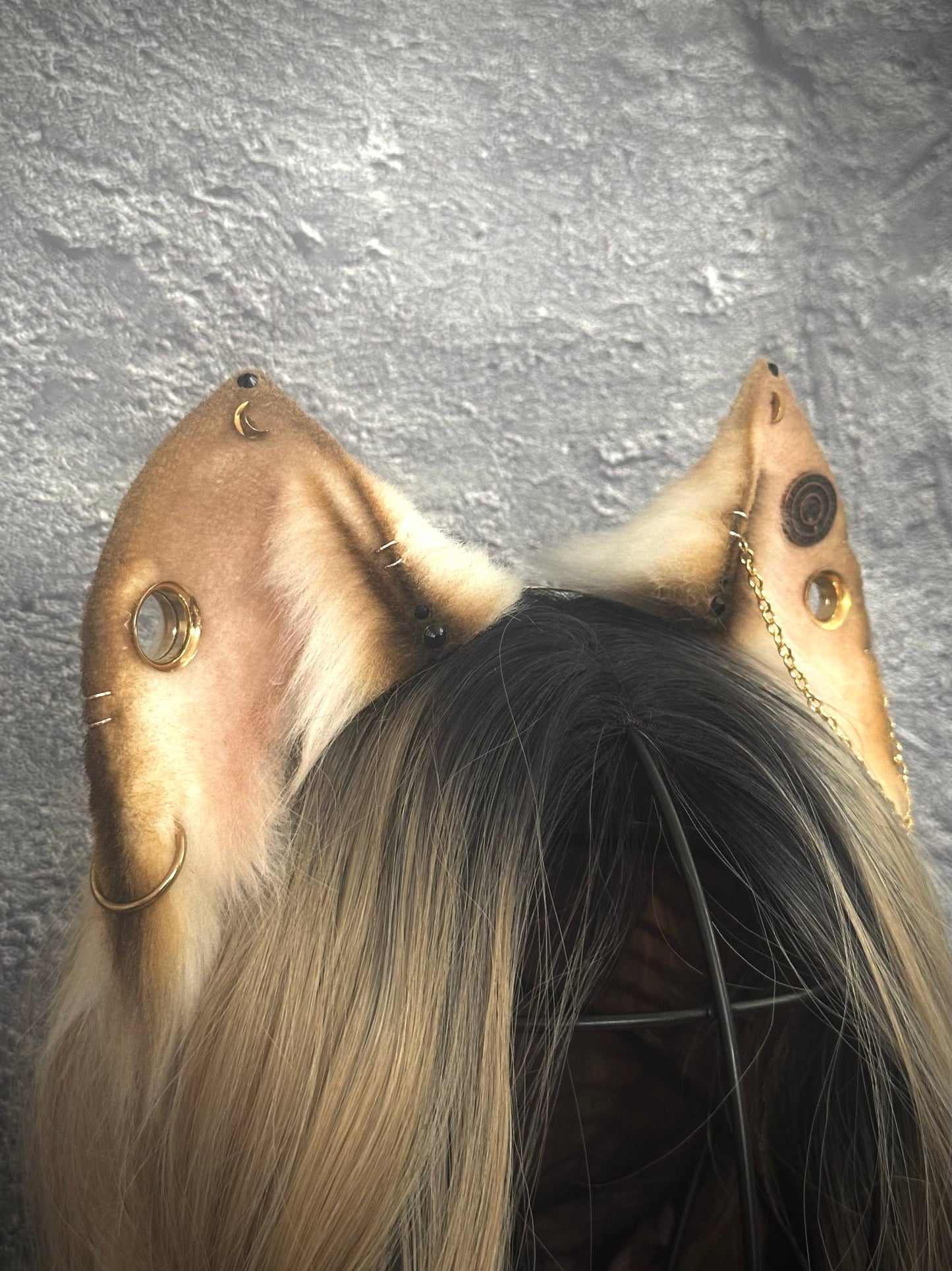 Golden Cat Ears RFS