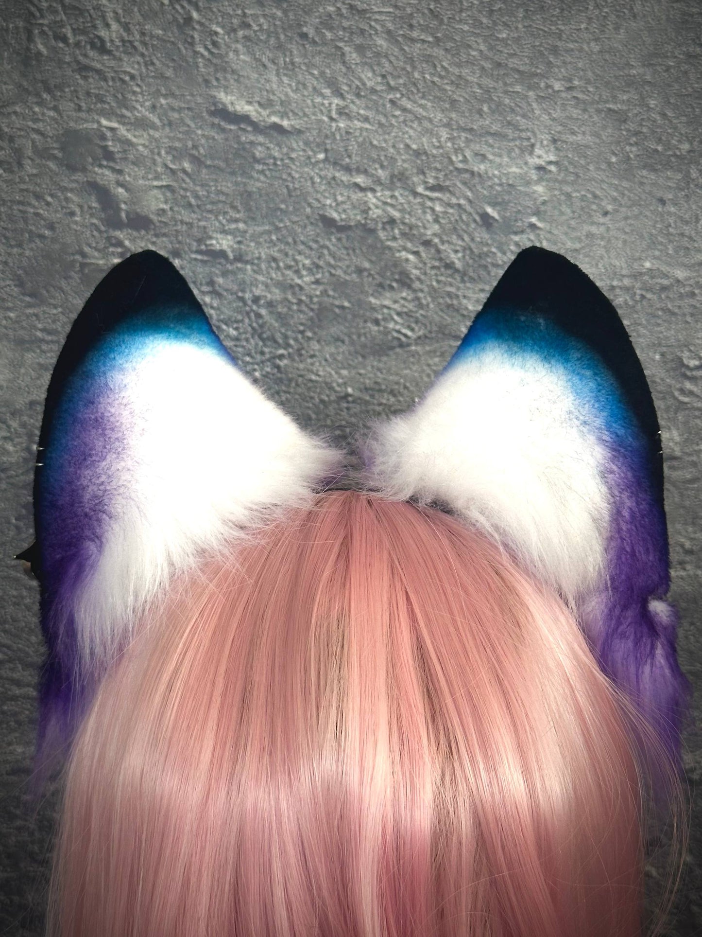 Galaxy Fox Ears RFS