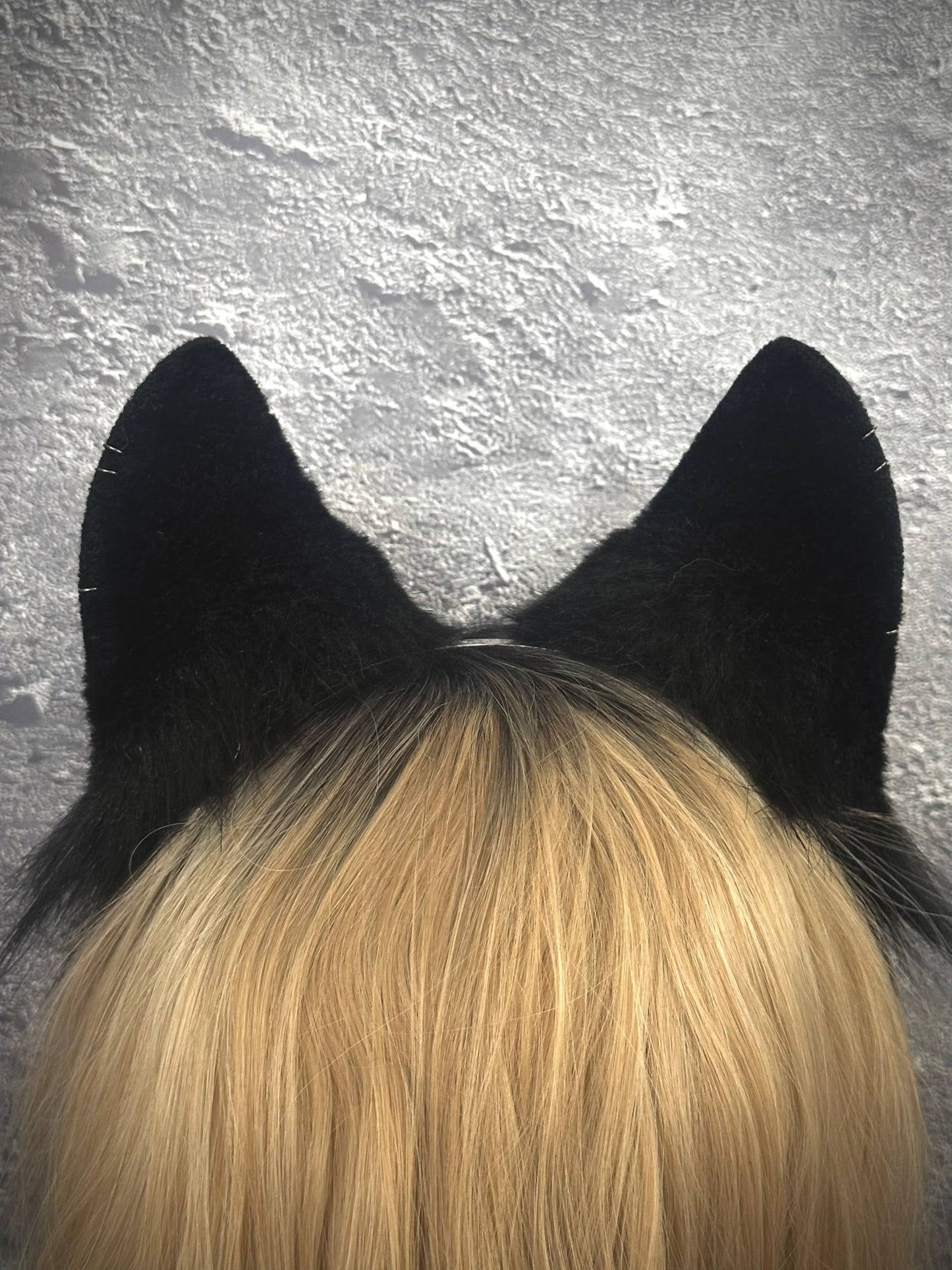 Black Fox Ears RFS