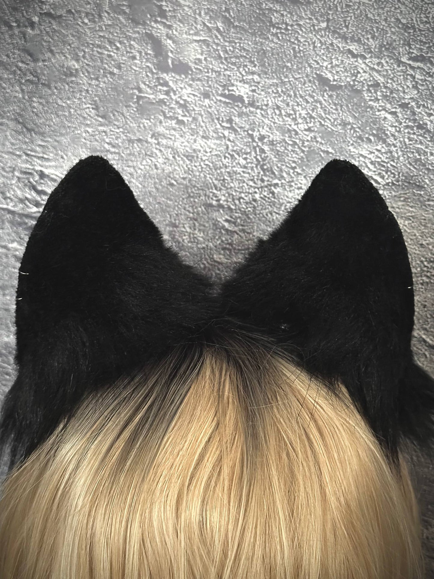 Black Fox Ears RFS