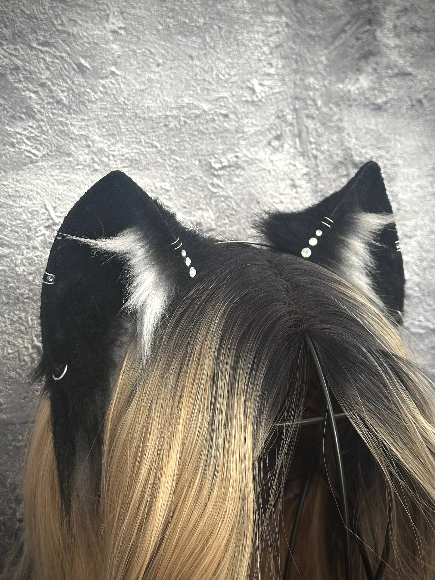 Black Cat Ears RFS