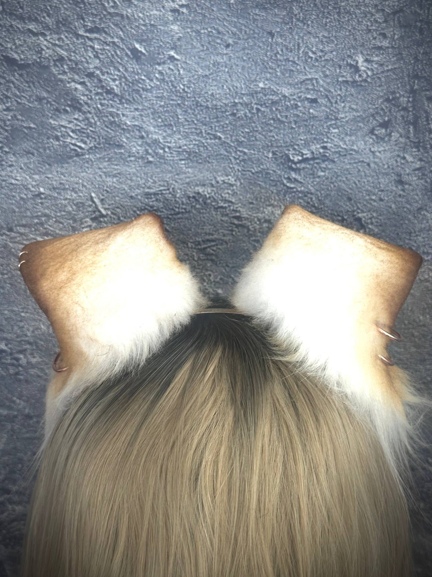 Lil Puppy Ears RFS
