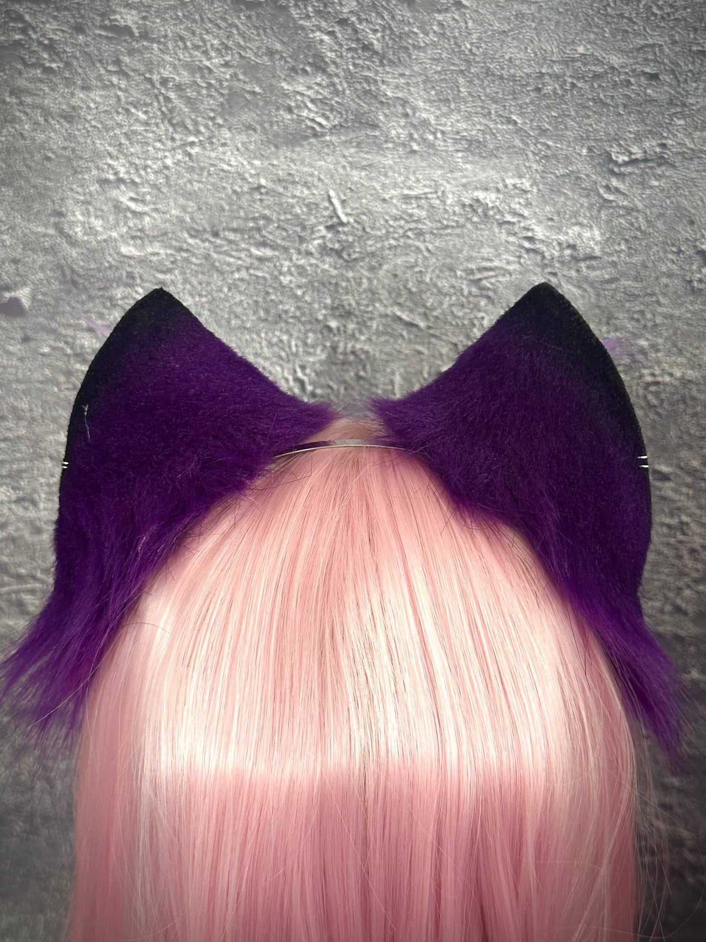 Purple Kitten RFS