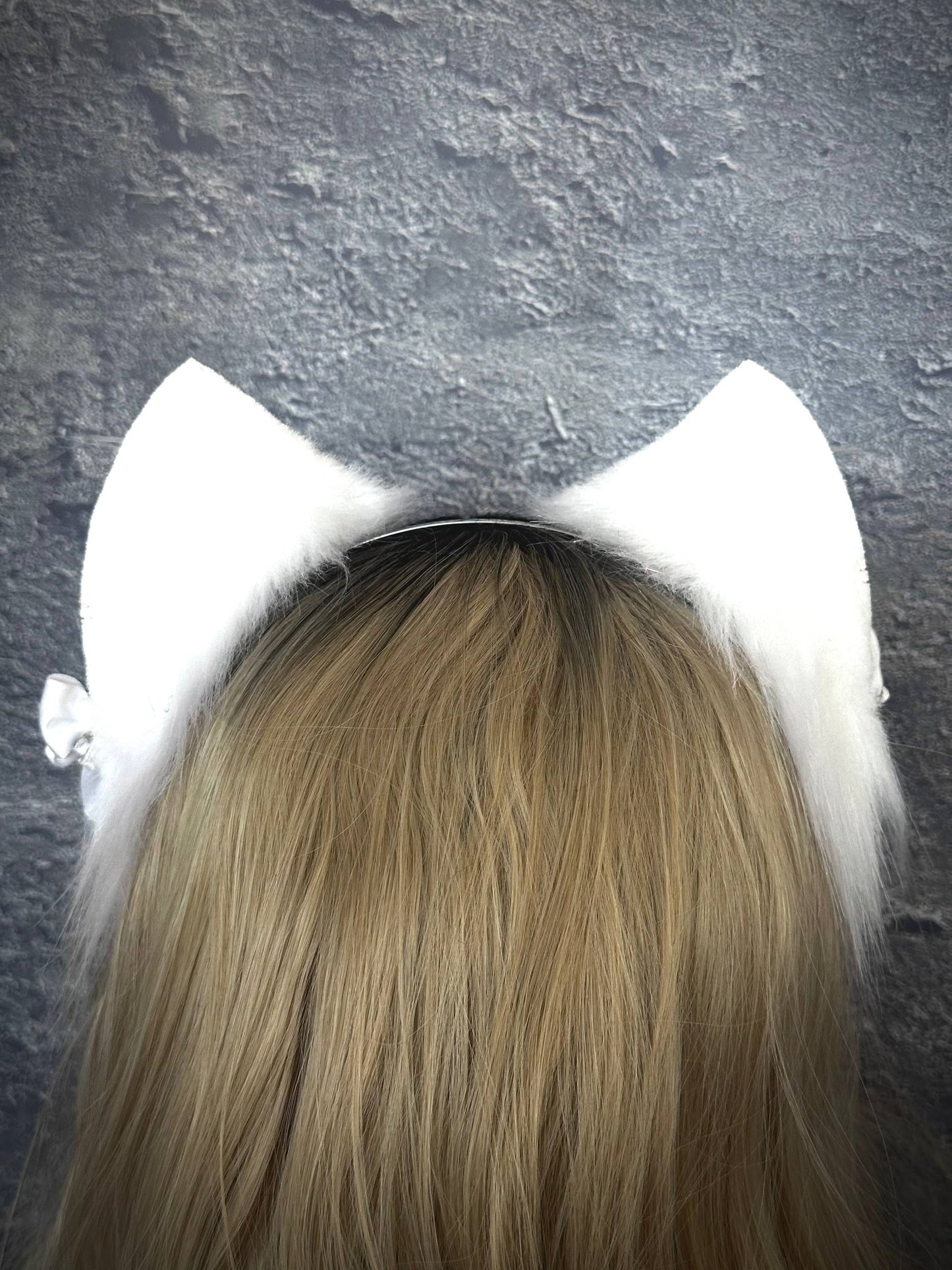White Kitten RFS