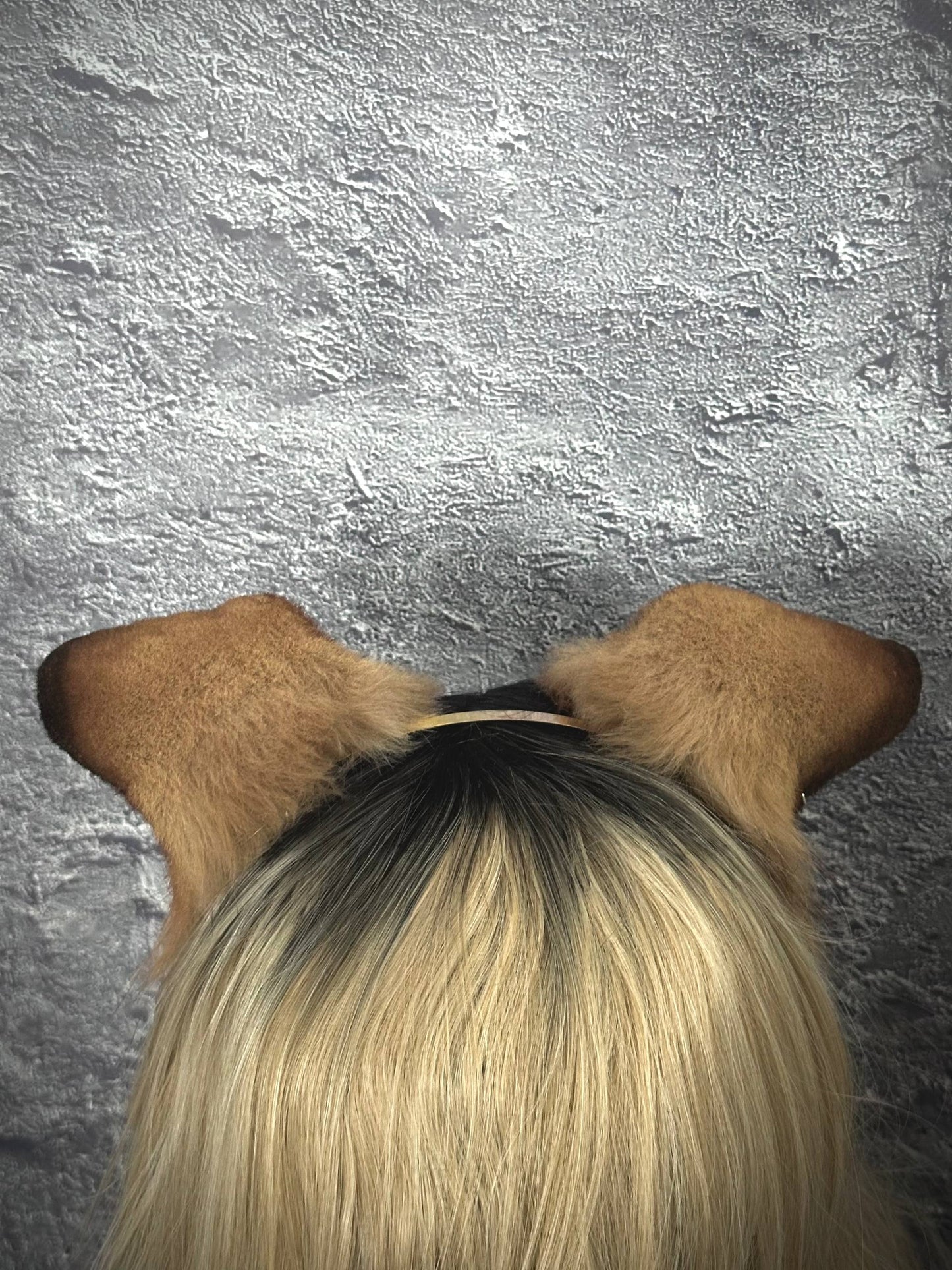 Puppy Ears RFS