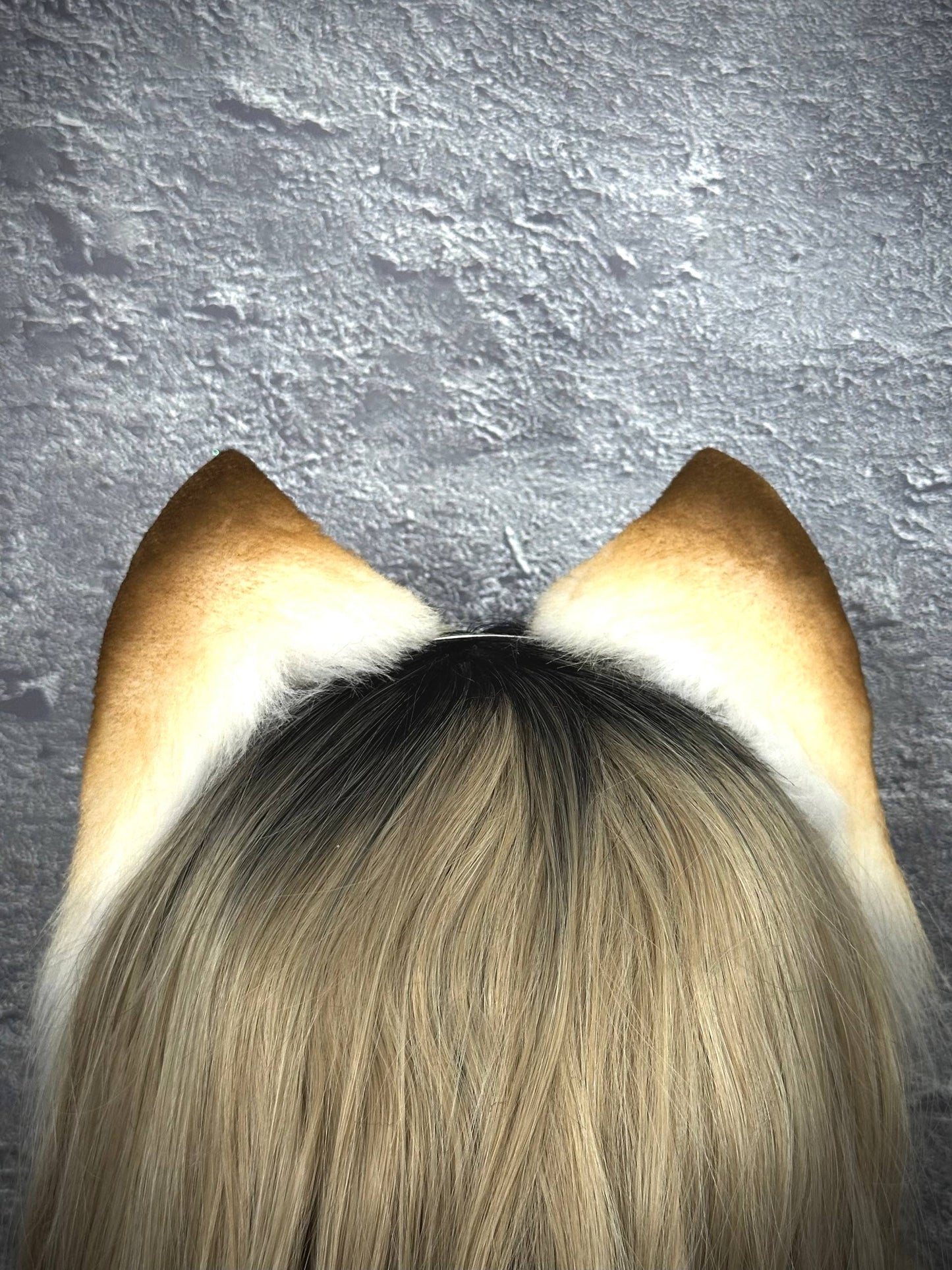 Blonde Kitten RFS