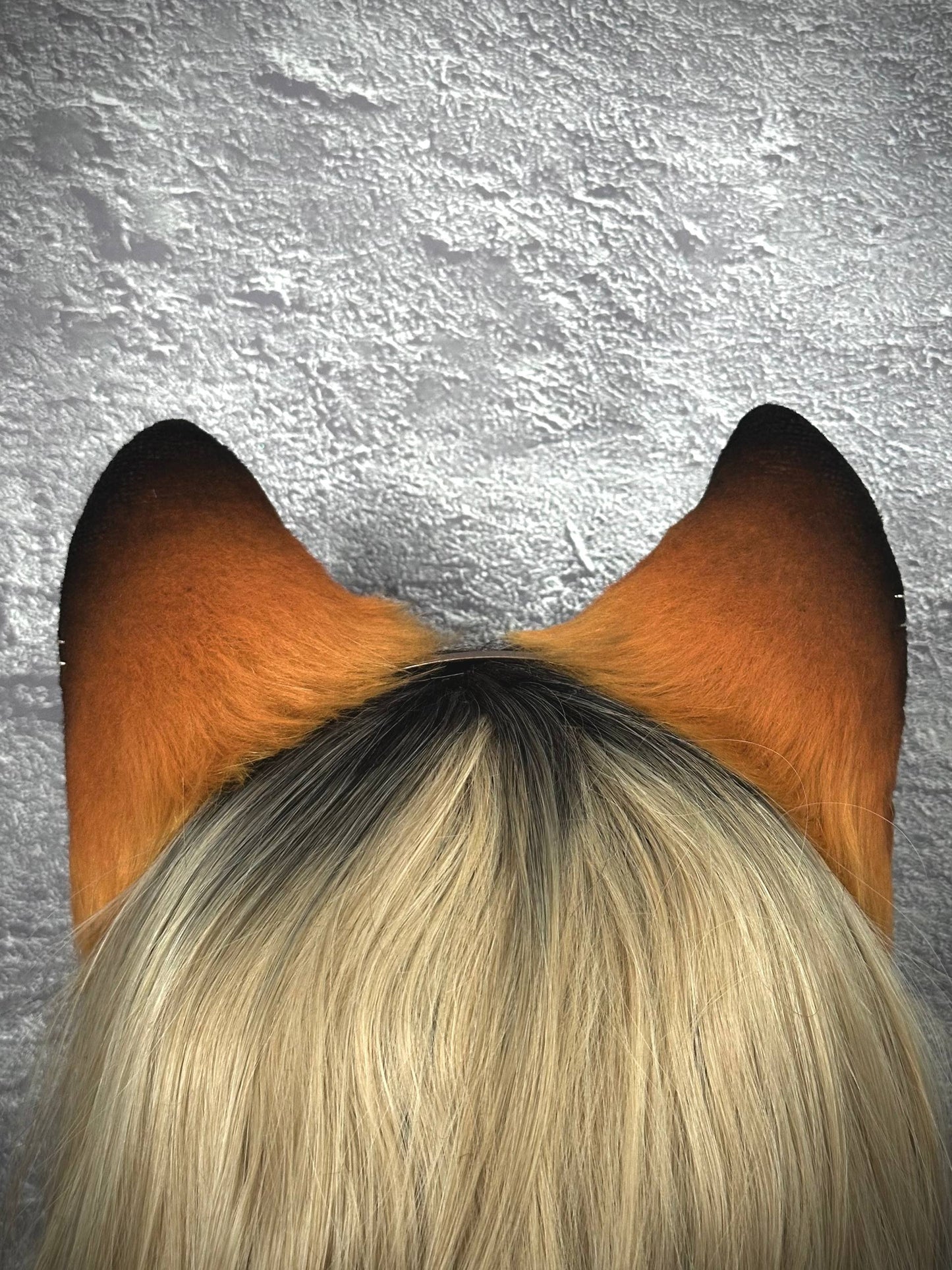 Foxy Ears RFS