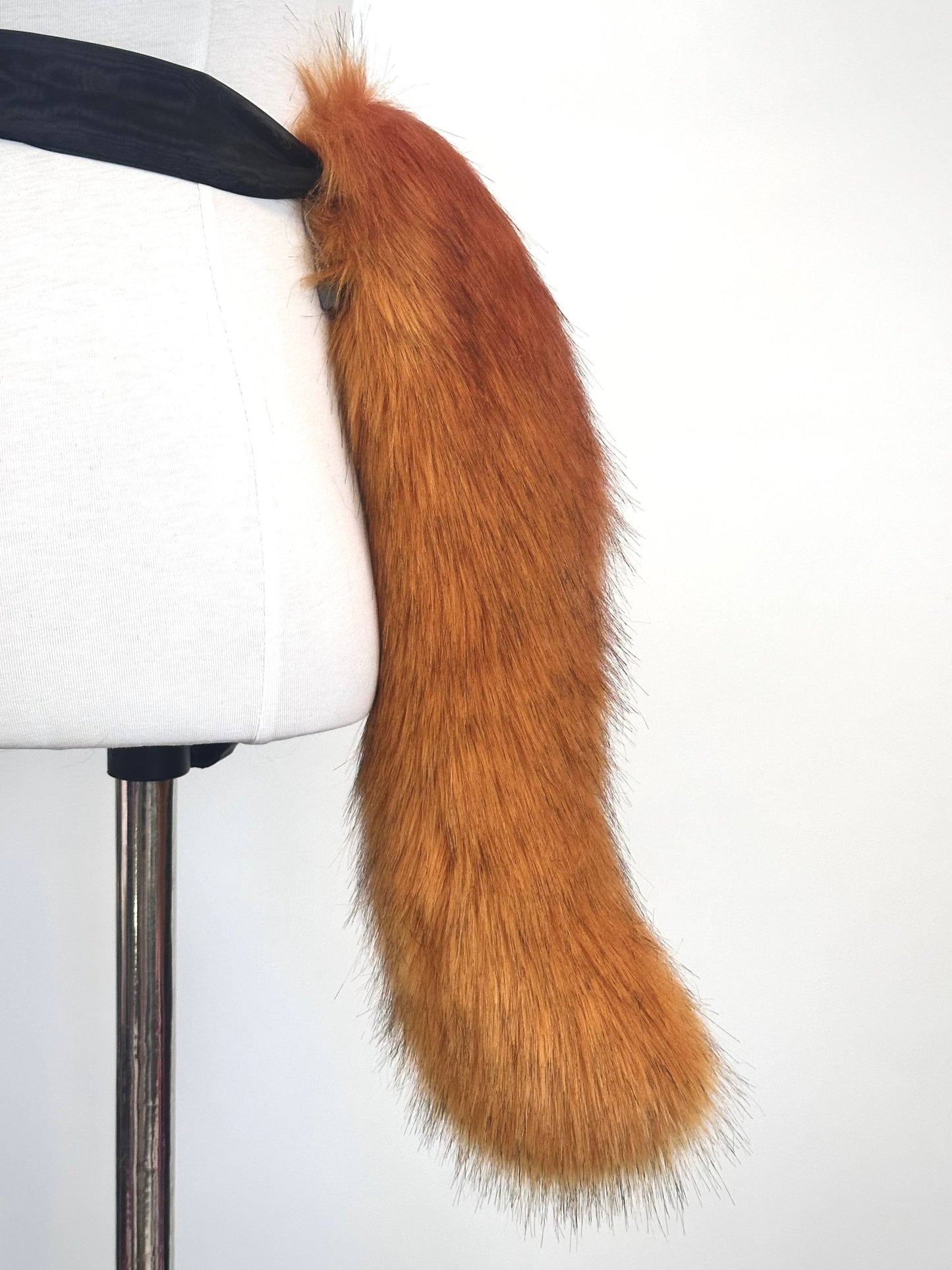 Ginger Kitten Tail RFS