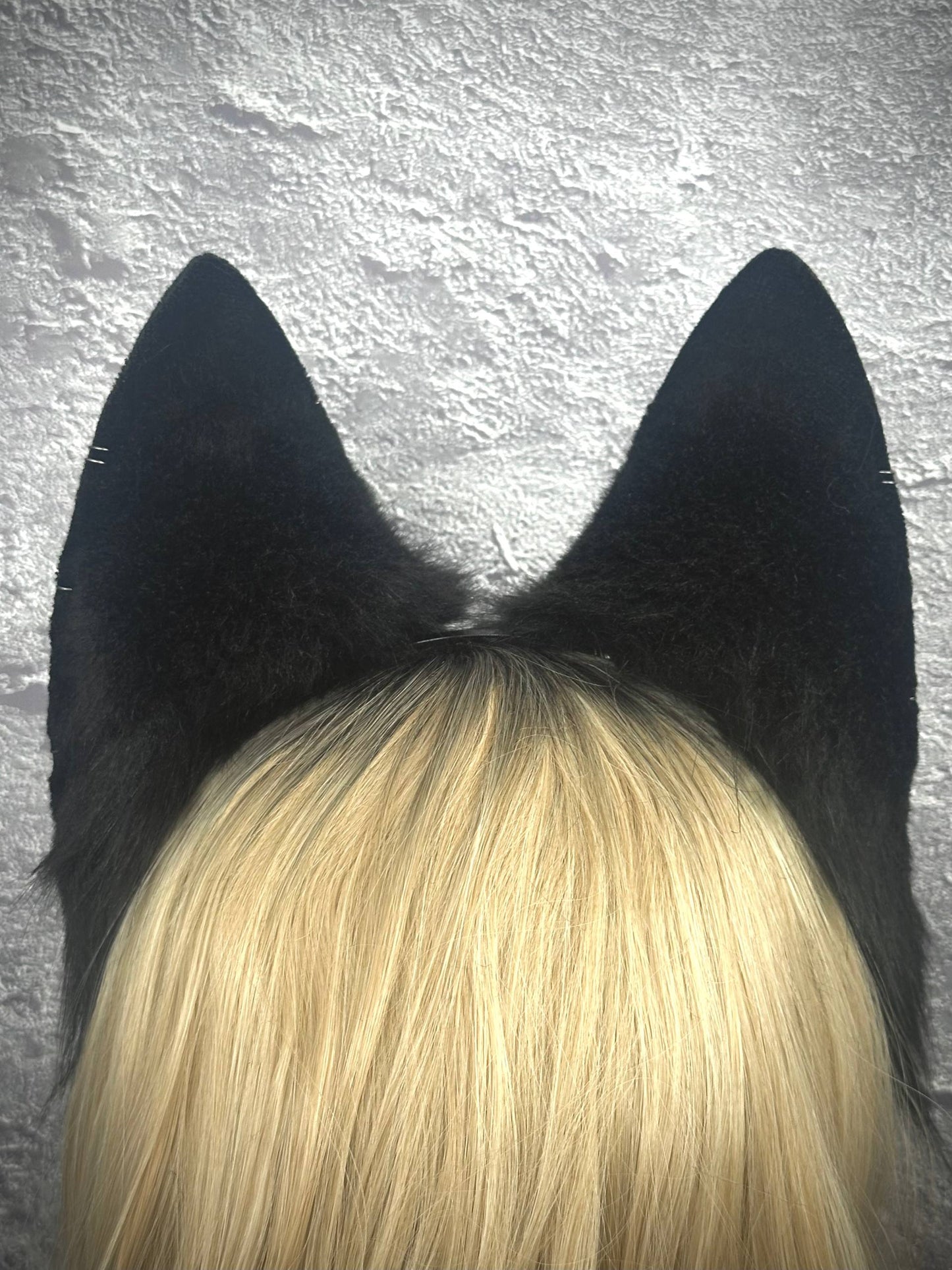Black Fox Ears RFS