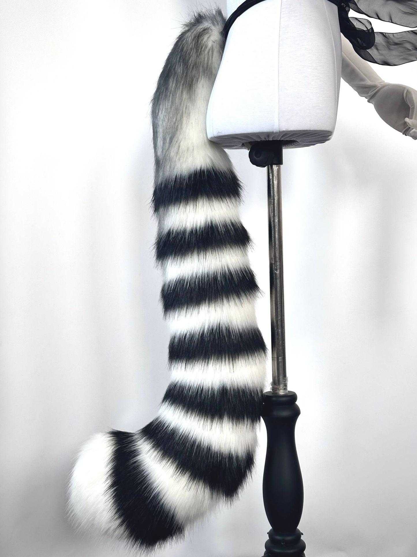 Striped Cat Tail RFS
