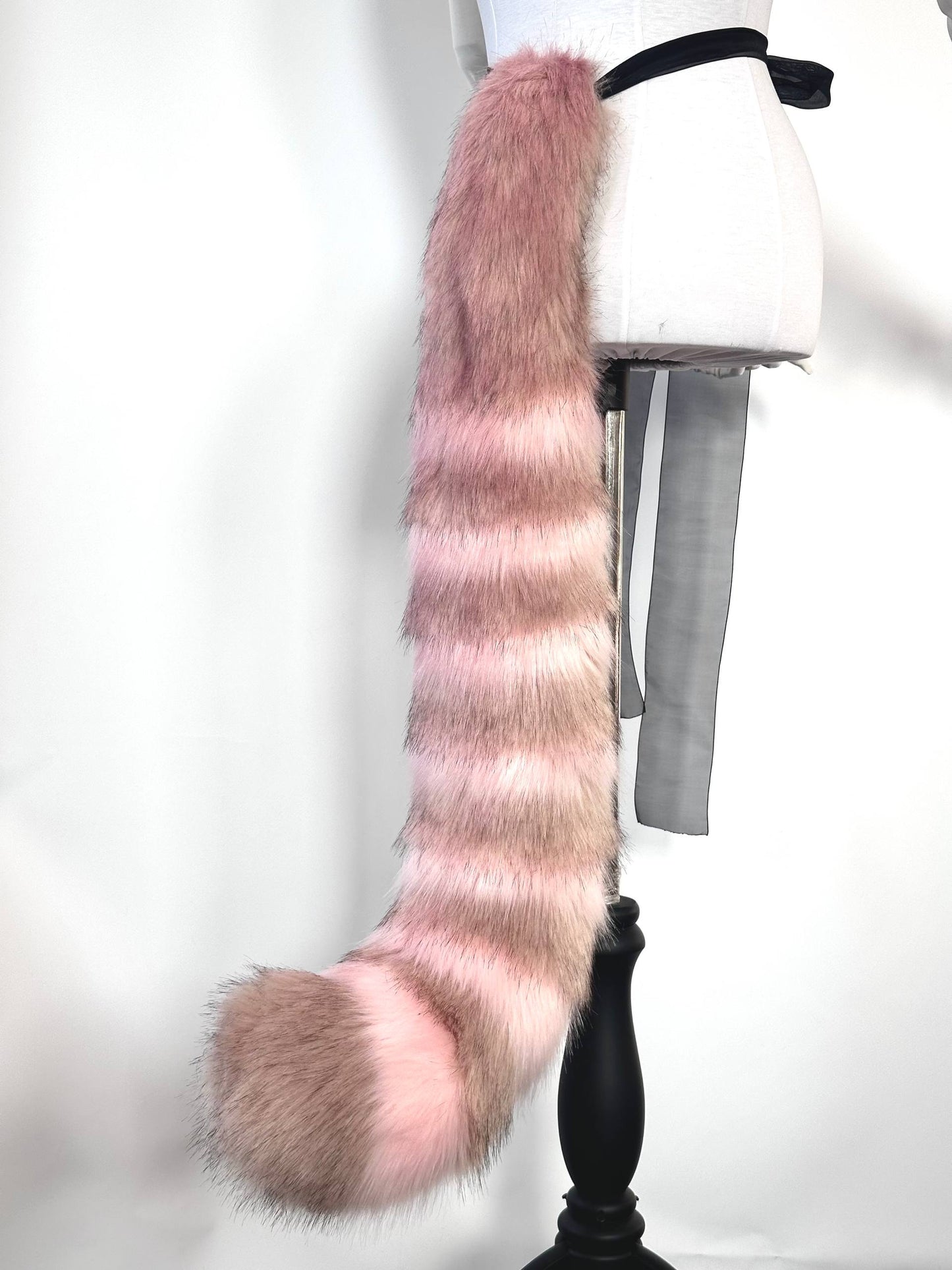 Mauve Striped Cat Tail RFS