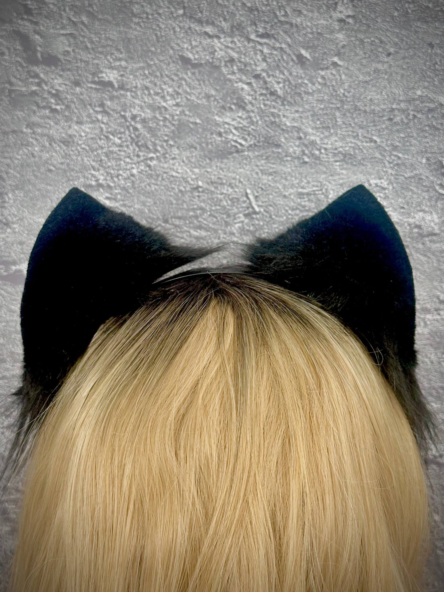 Tuxedo Kitten Ears RFS