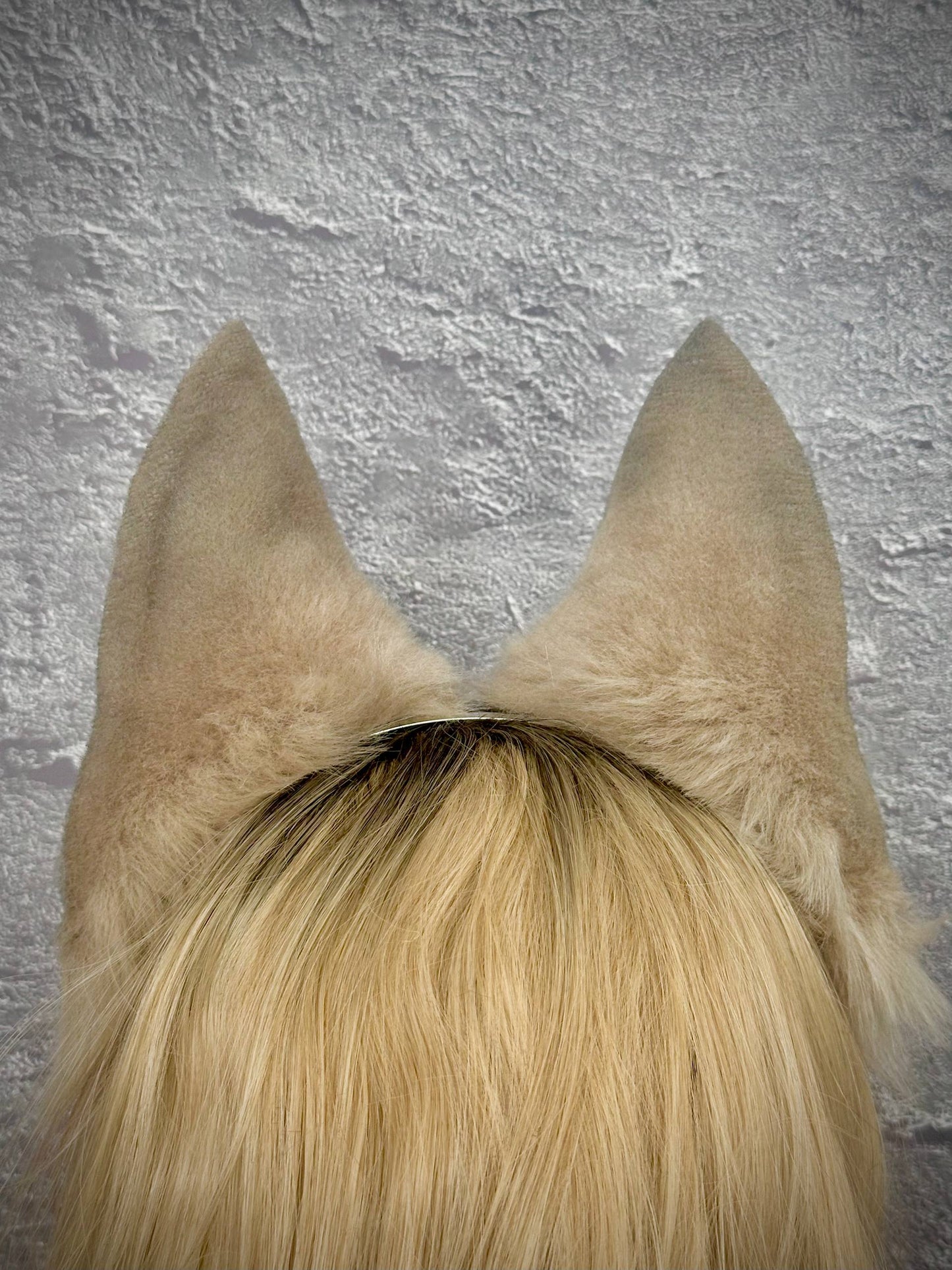 Gray Fox Ears RFS